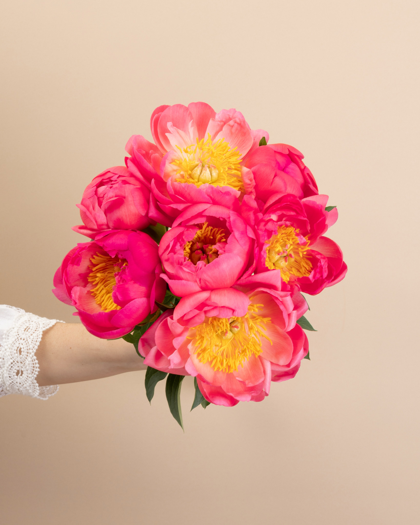 Bouquet de pivoines Camargue S