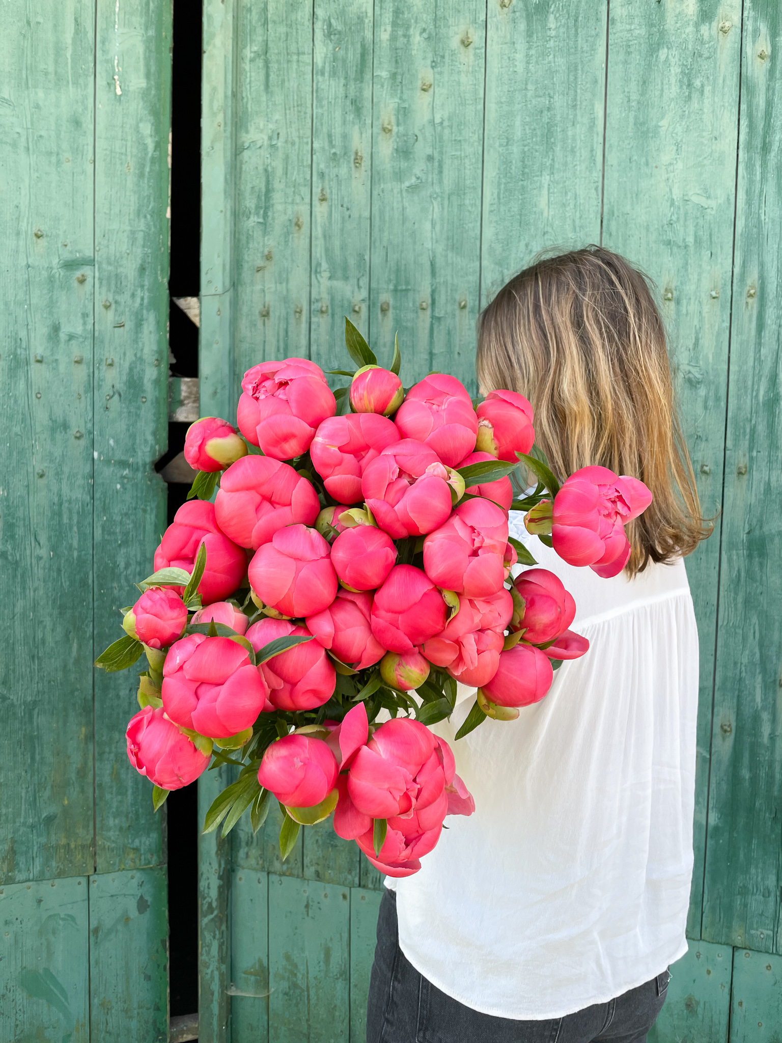 Tout savoir sur la pivoine et sa signification