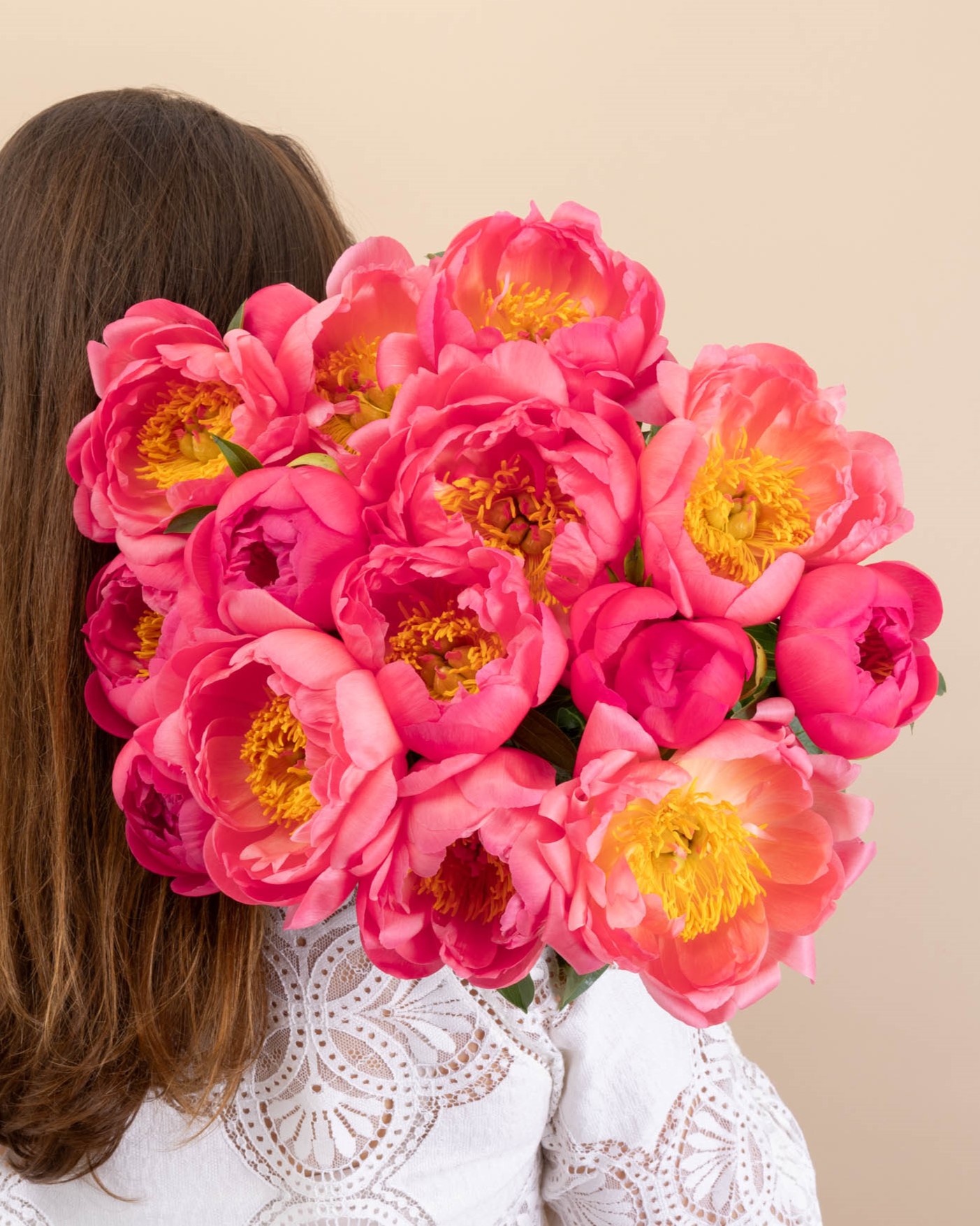 Bouquet de pivoines Camargue L