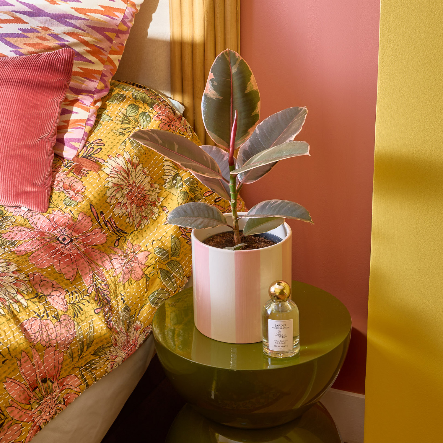 Plantes à personnaliser