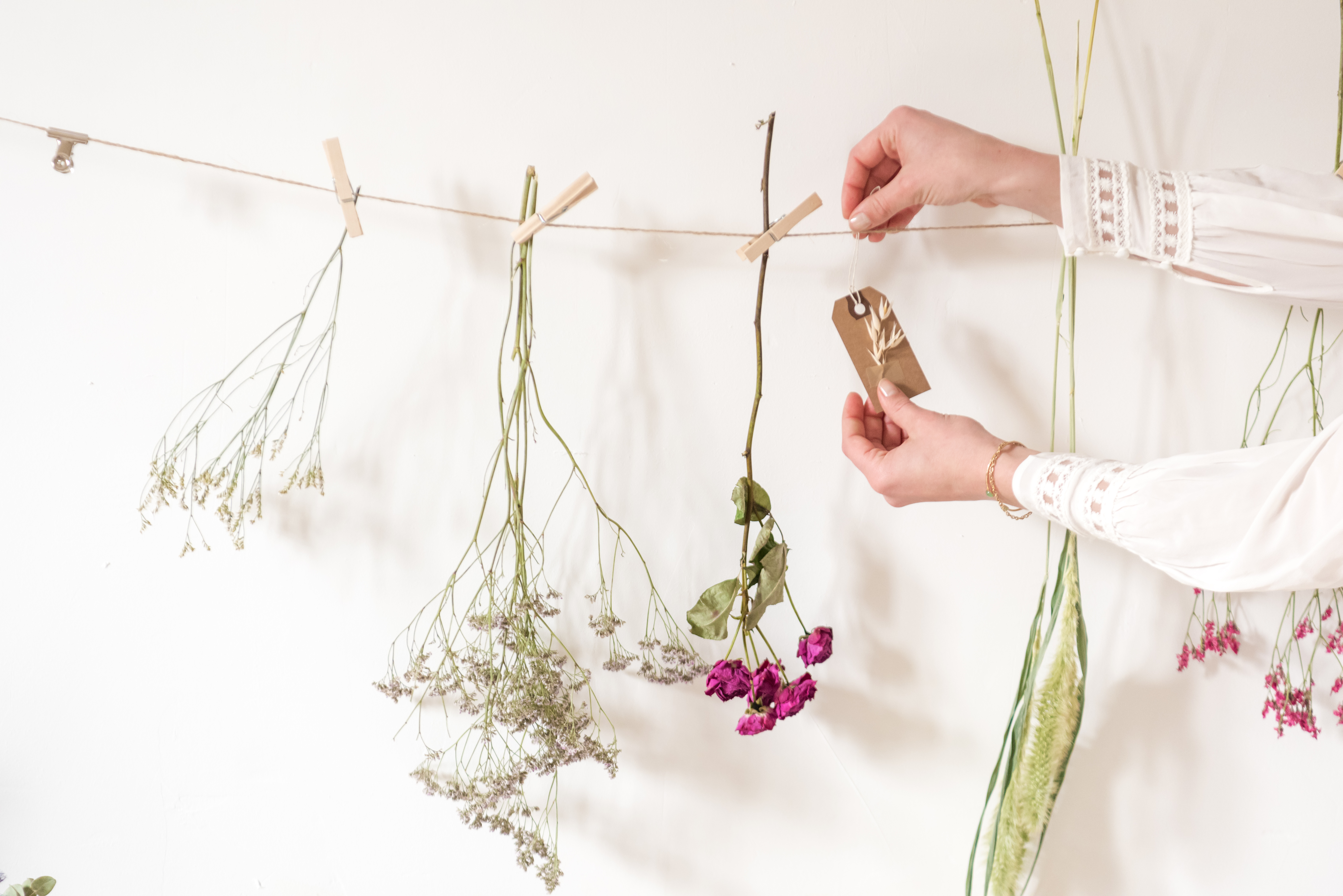 compo-fleurs-sechees