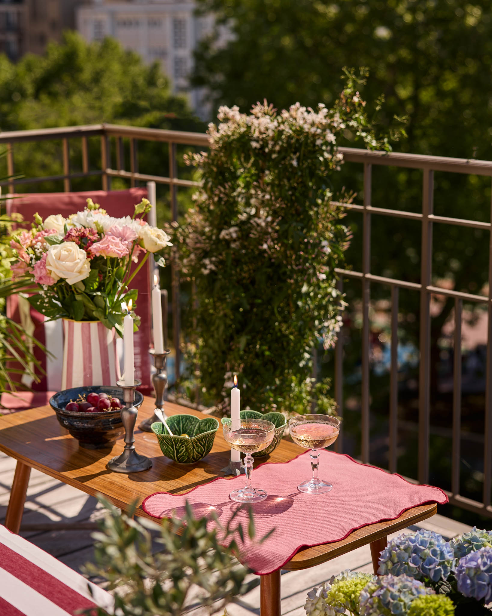 jasmin sur un balcon