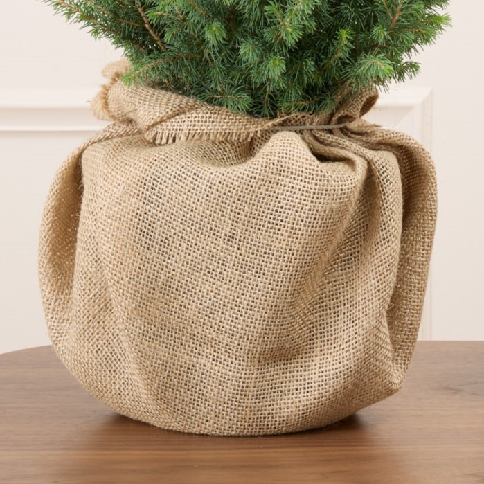 Melchior et sa toile de jute