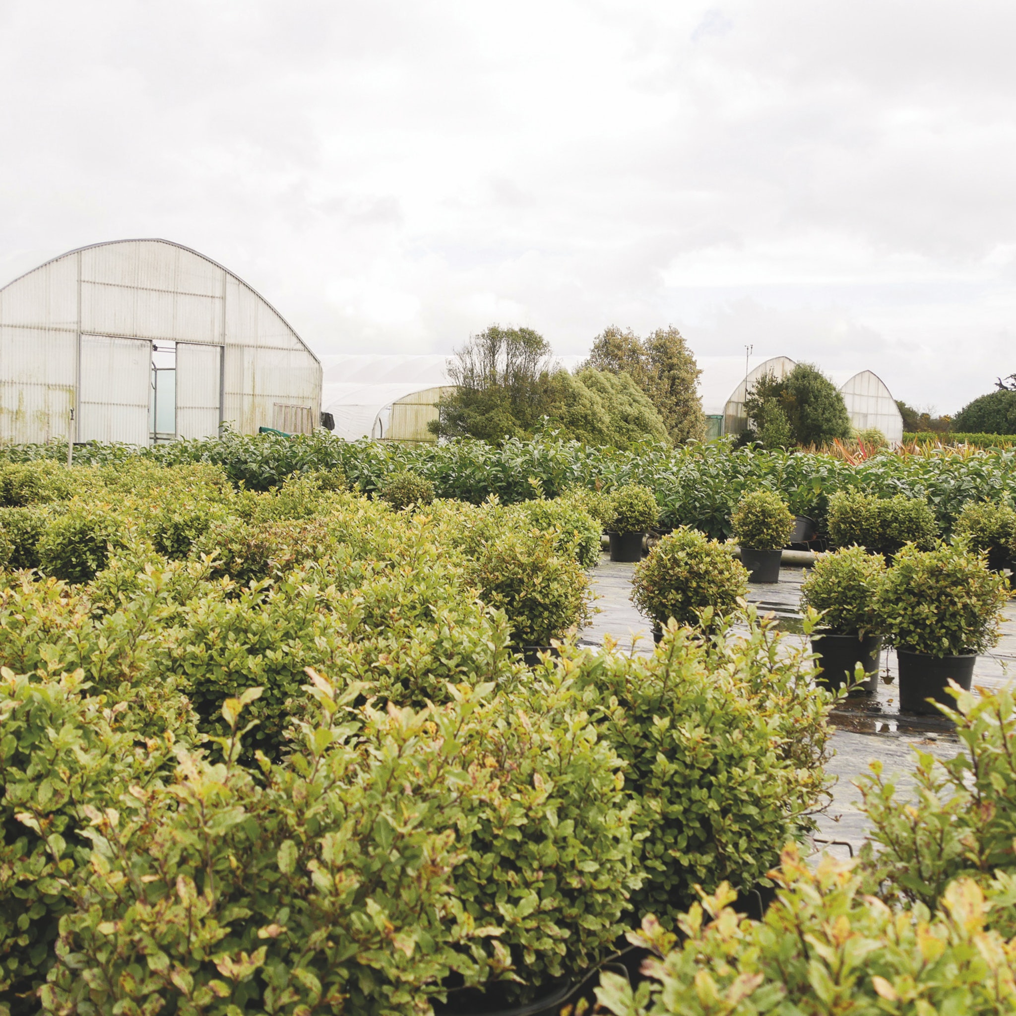 Du producteur jusqu’à chez vous, étape par étape