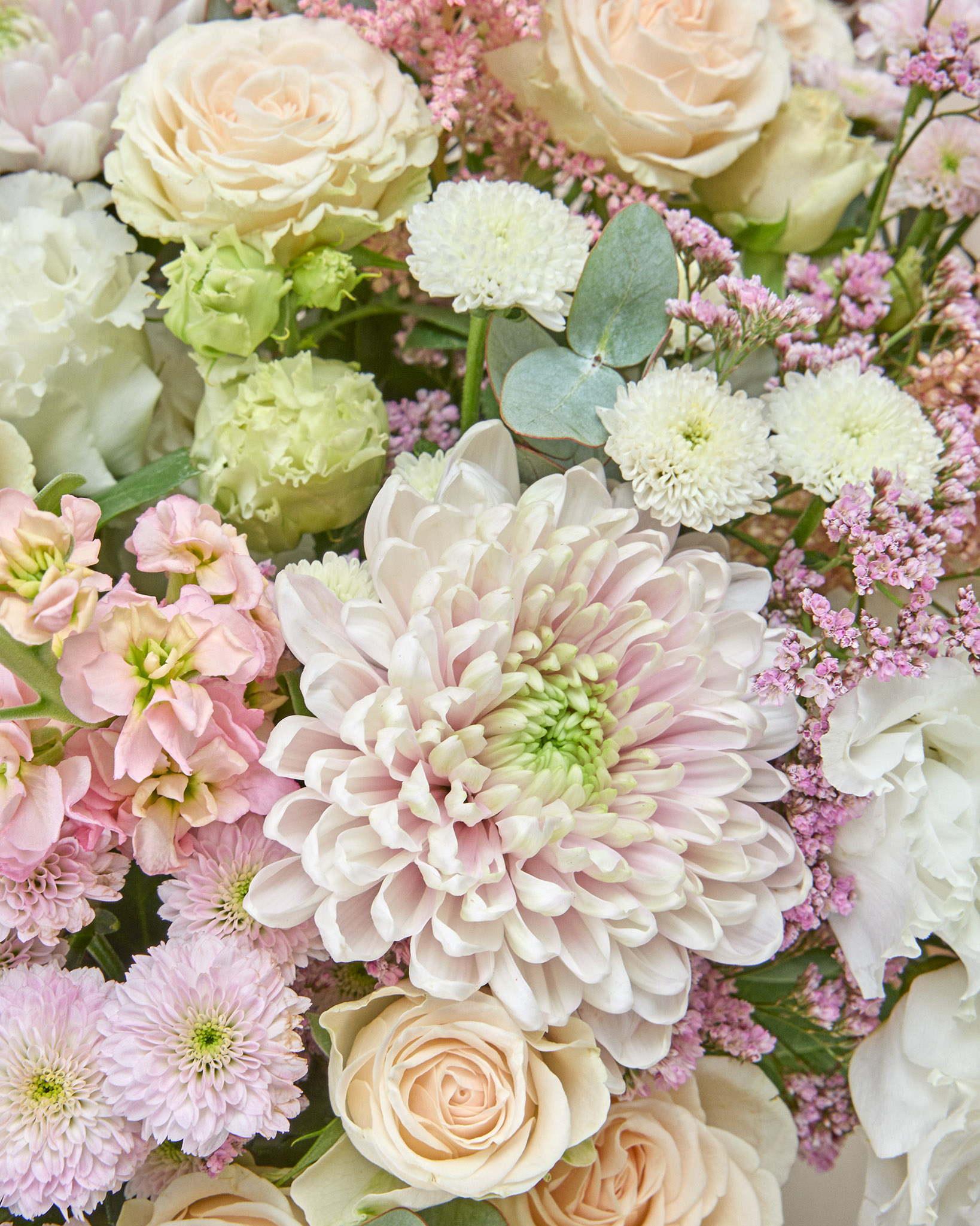 Bouquet Edition 10