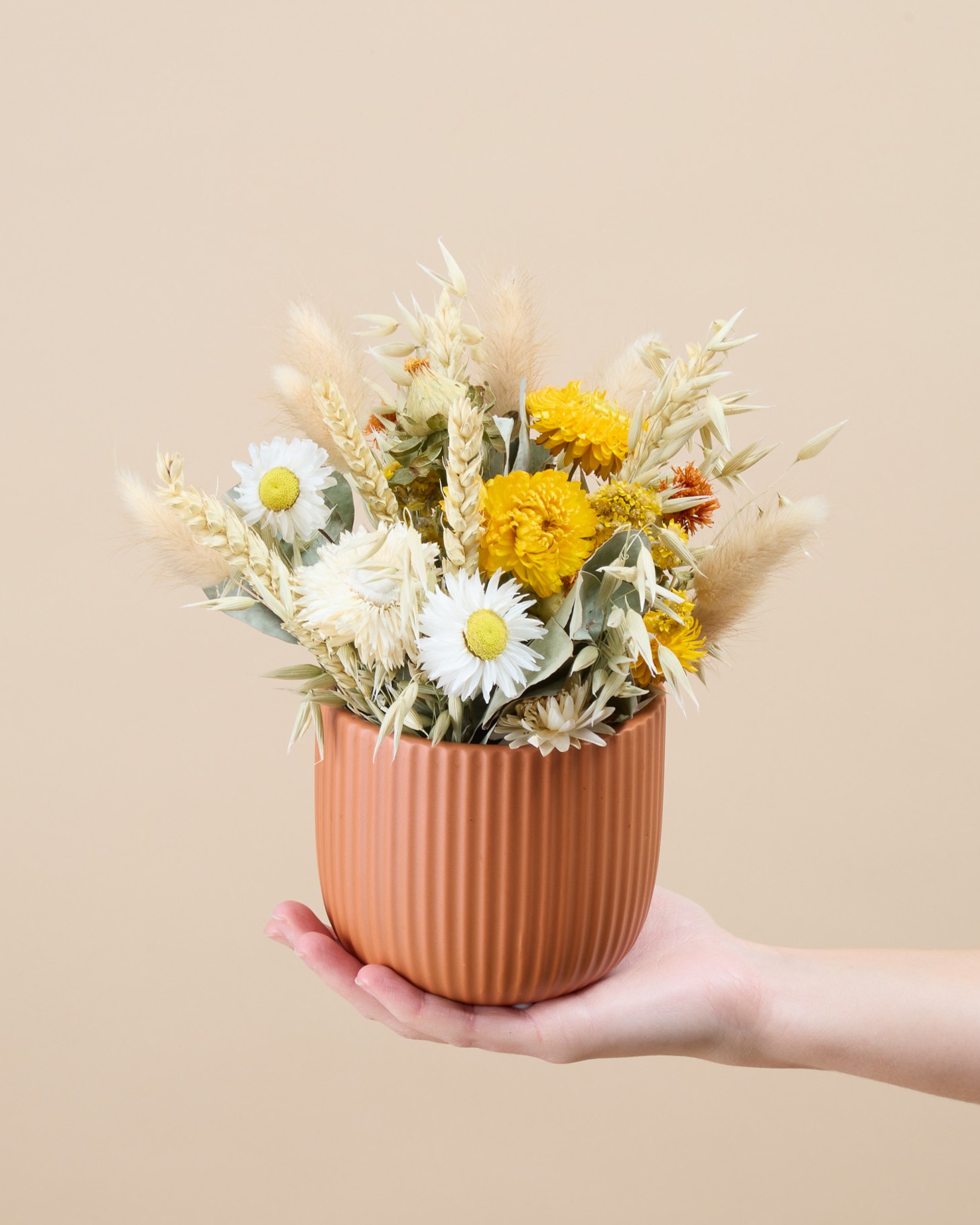 Céramique Porquerolles