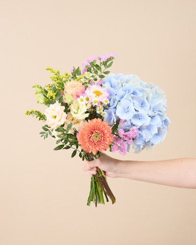 Bouquet Cassis S - Livraison fleurs - Fleuriste en ligne Bergamotte