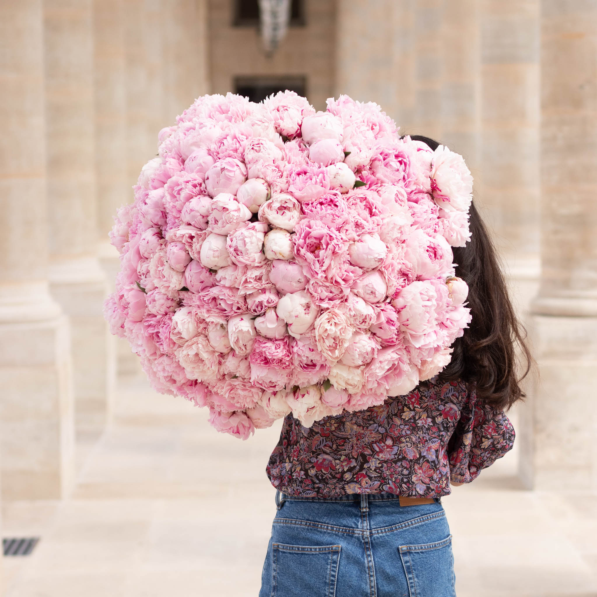 Die Schonsten Fruhlingsblumen Pflegehinweise Bergamotte