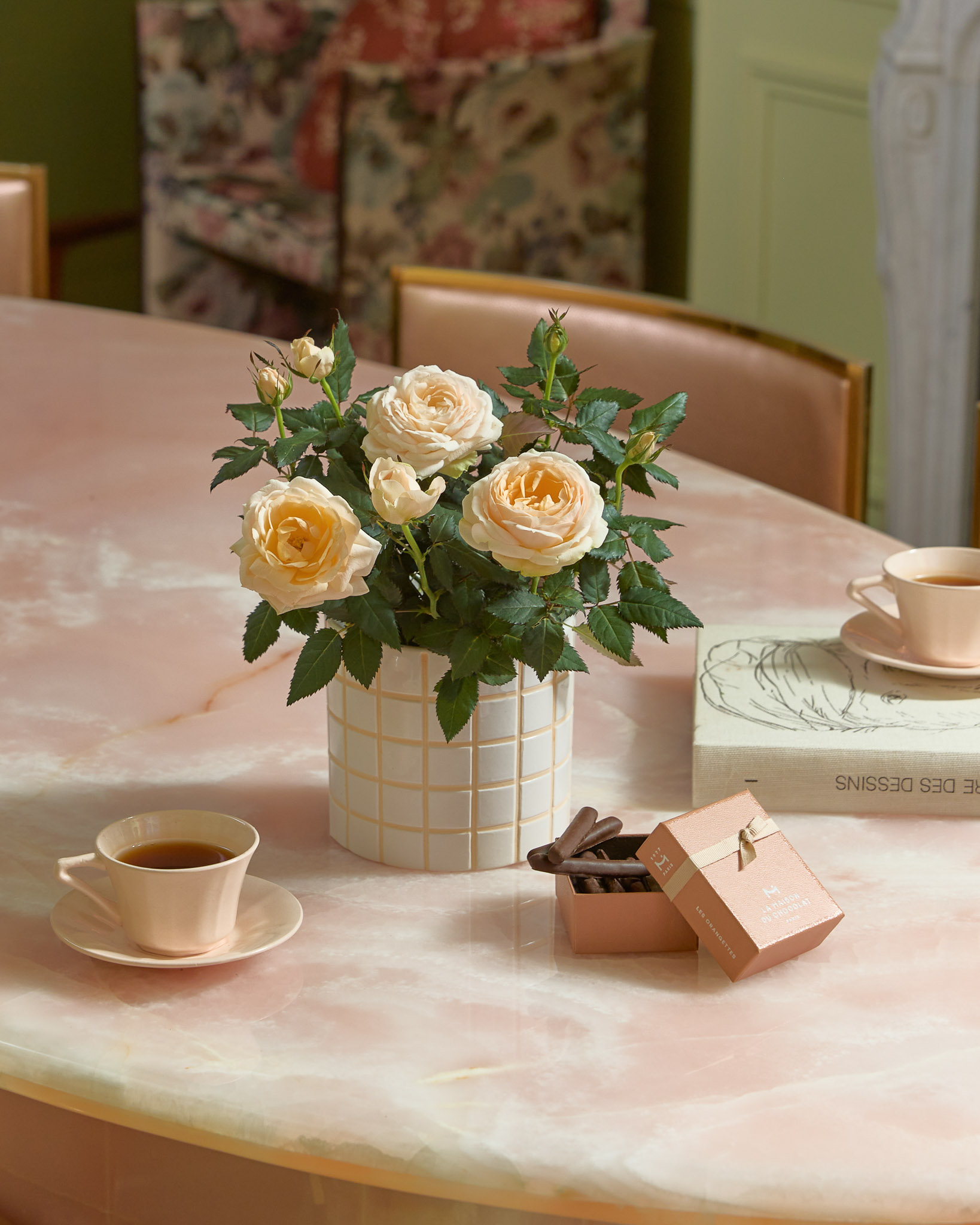 petit rosier intérieur