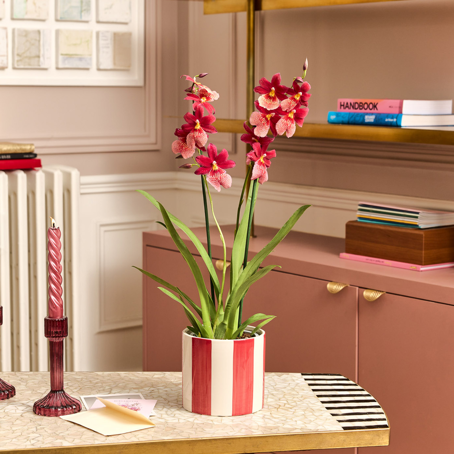 Plantes personnalisées