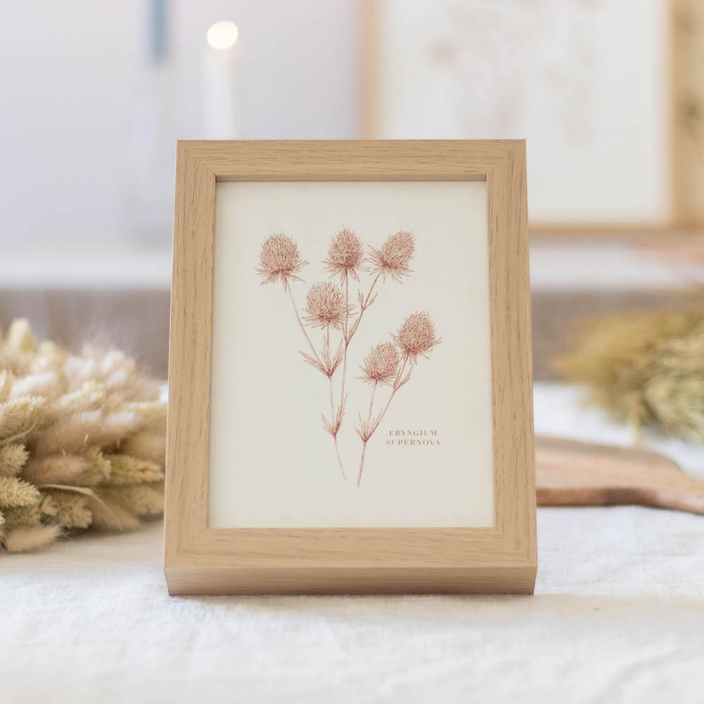 Mount Rainier Trockenblumenkranz Trockenblumen Kaufen Bergamotte