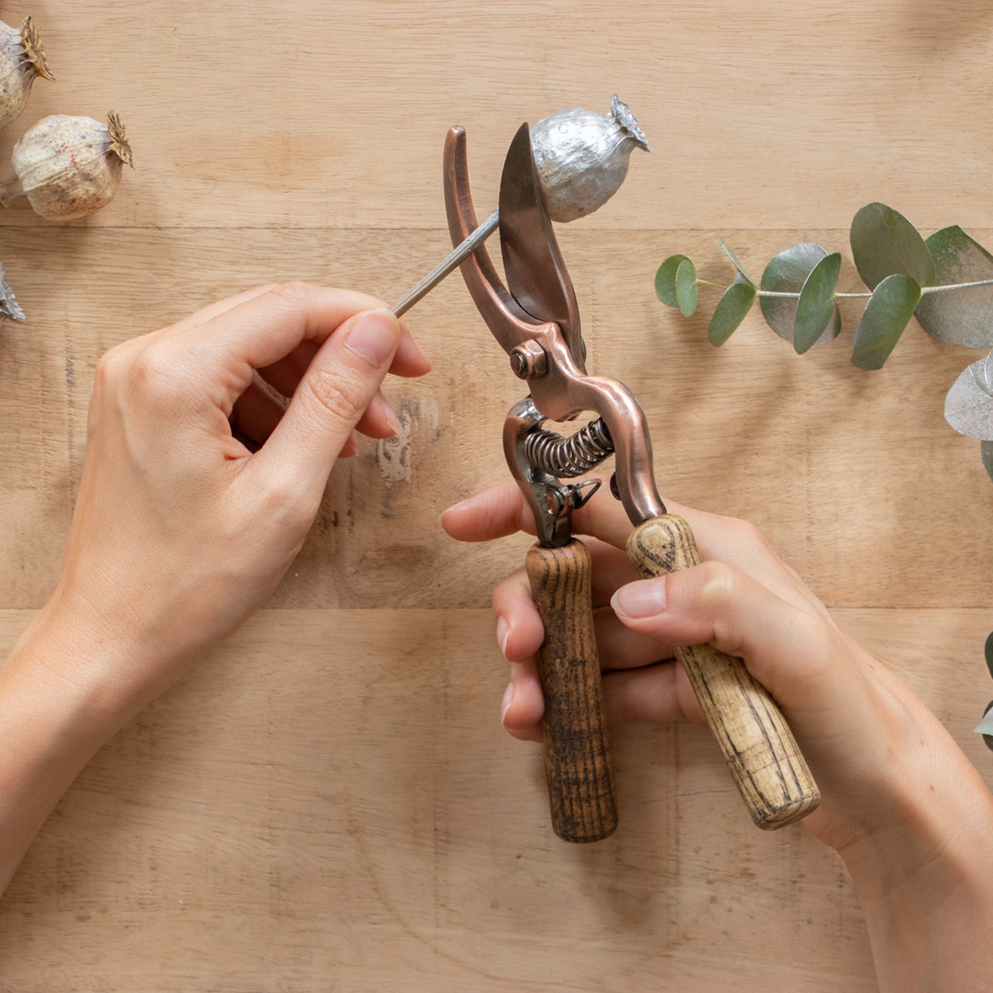 Coupez les tiges de vos fleurs séchées