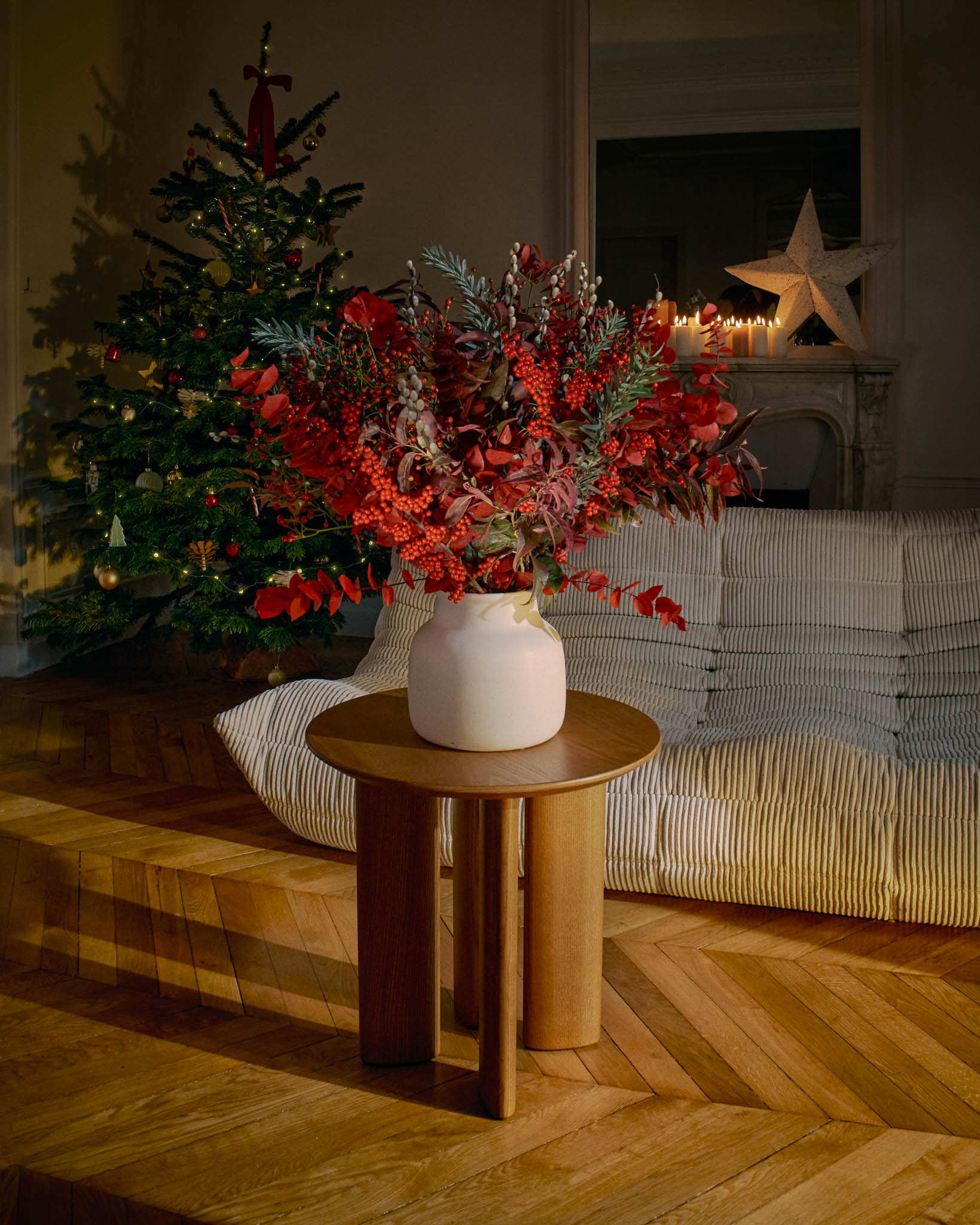 Quelles sont les fleurs de Noël ?