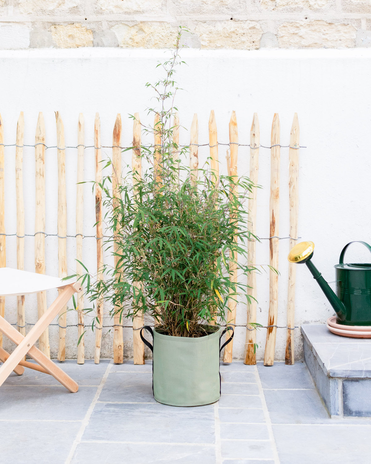 Pot rond Bacsac (vendu sans plante)