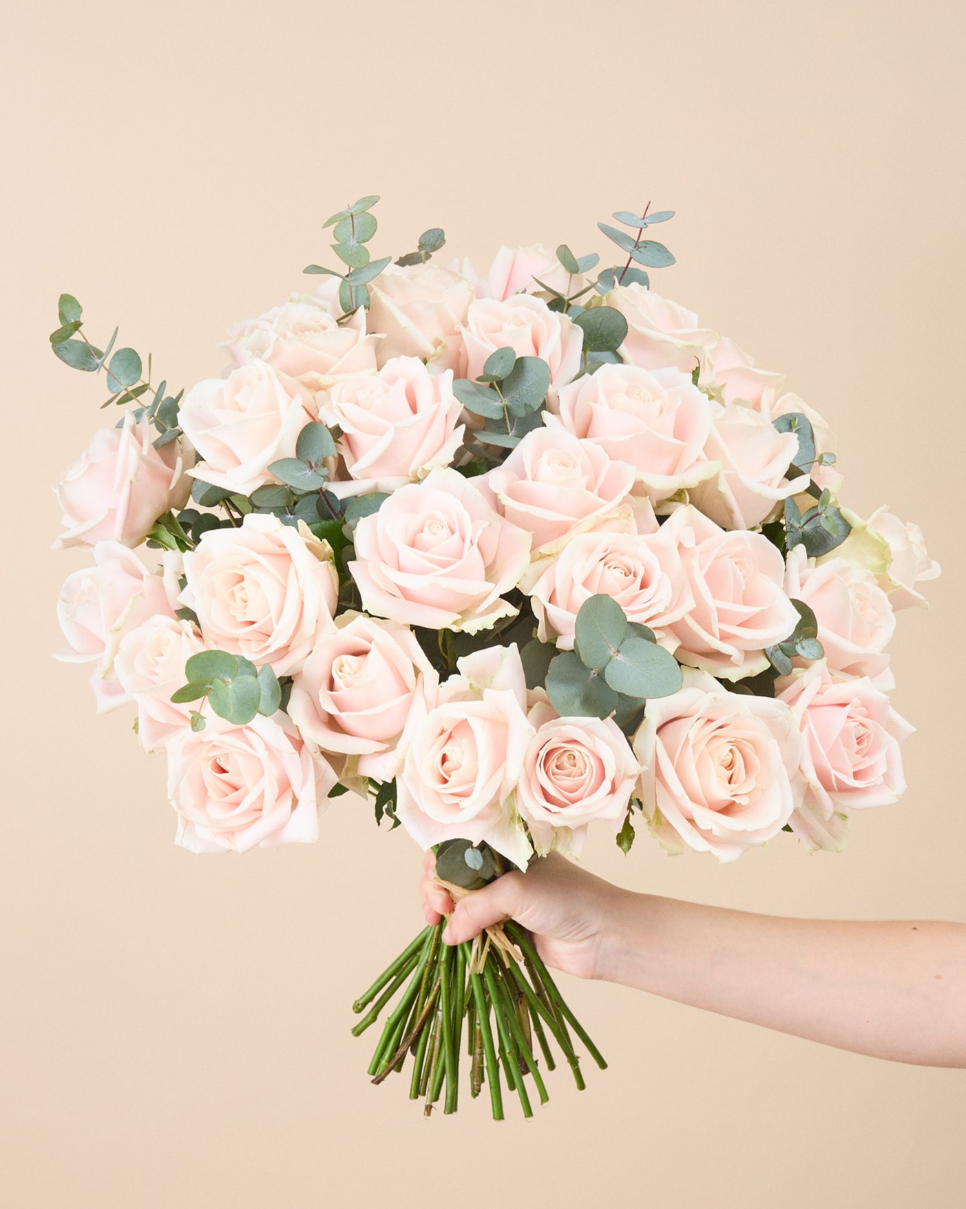 Bouquet de roses Coloma XL