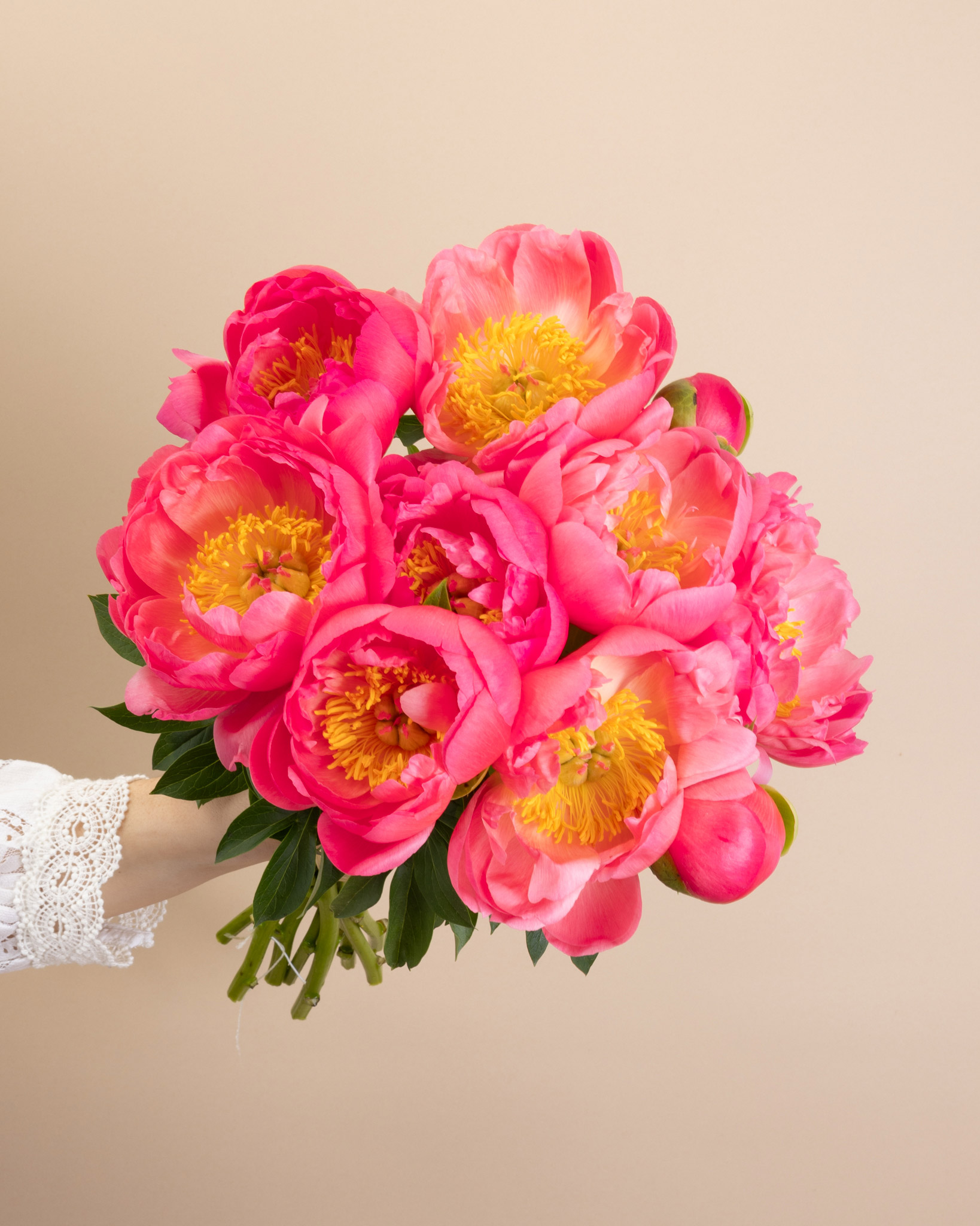 Bouquet de pivoines Camargue M