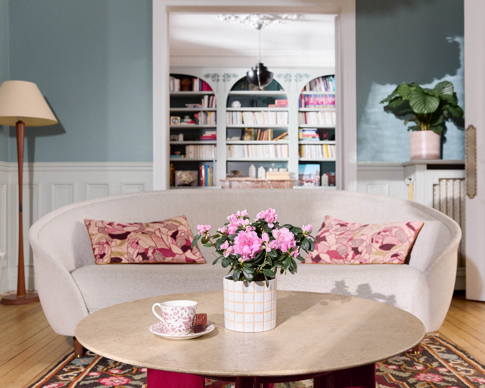 photo salon avec plante