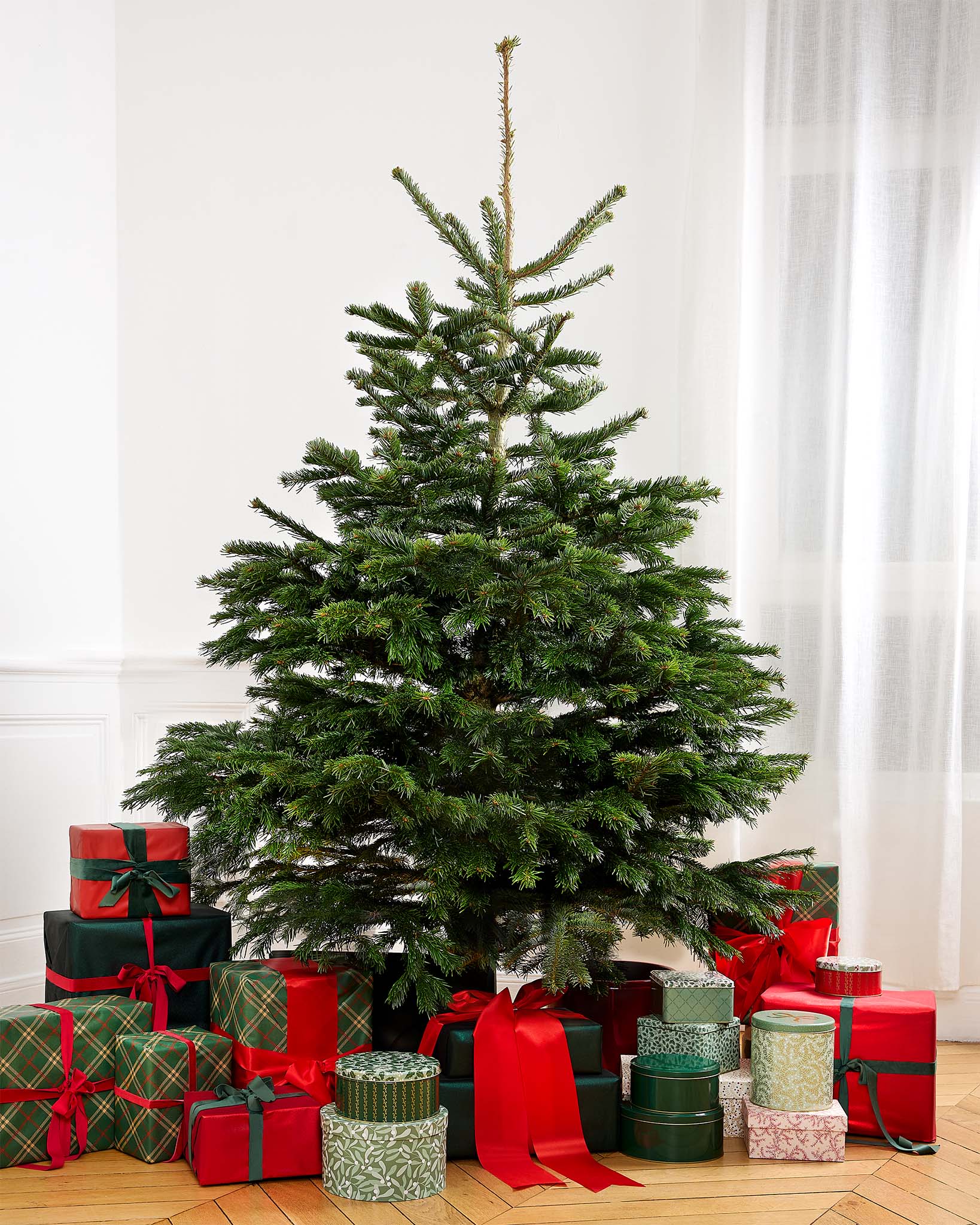 Gaspard - Grand sapin de Noël Nordmann