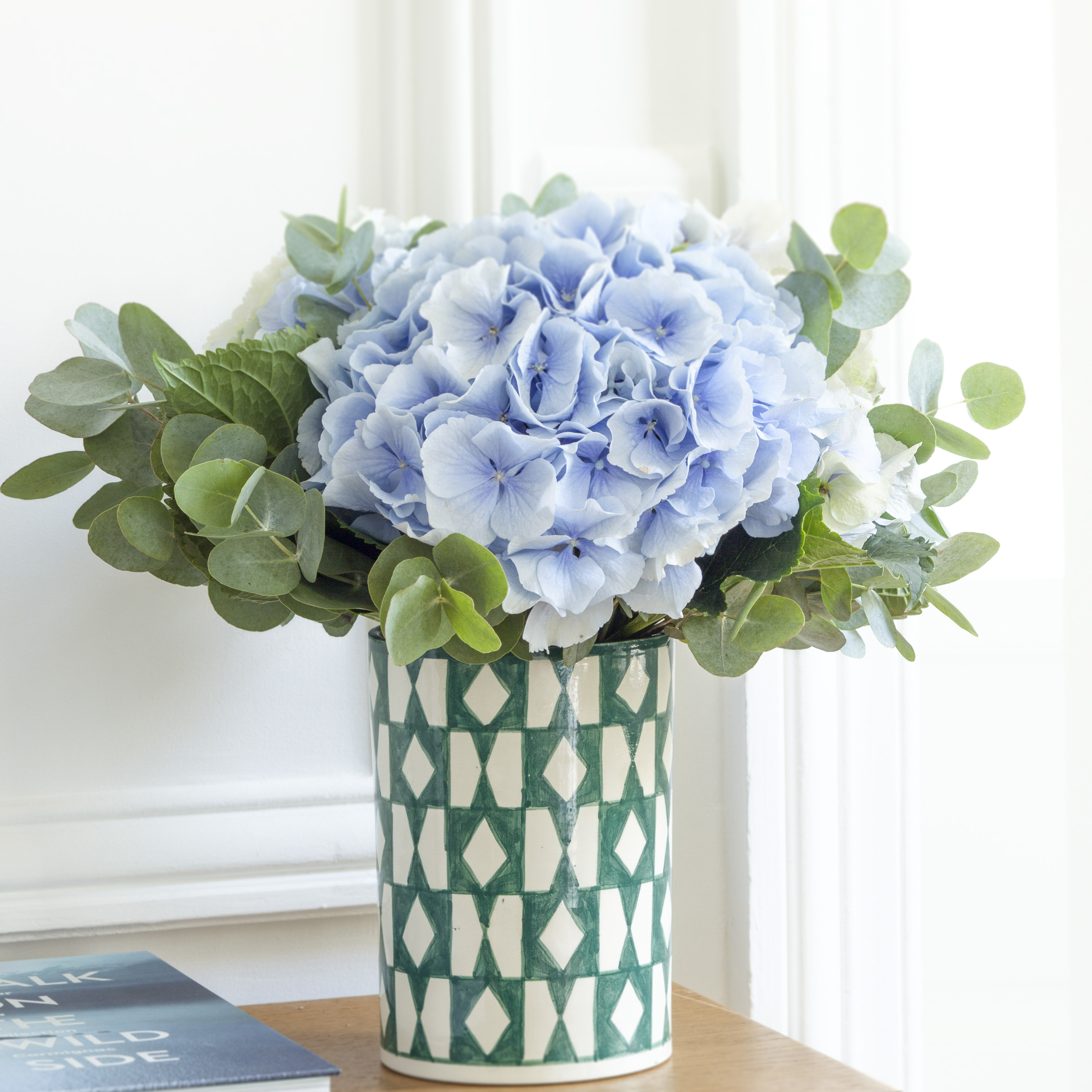 Sommerblumen Die Hortensie Die Konigin Des Sommers Bergamotte