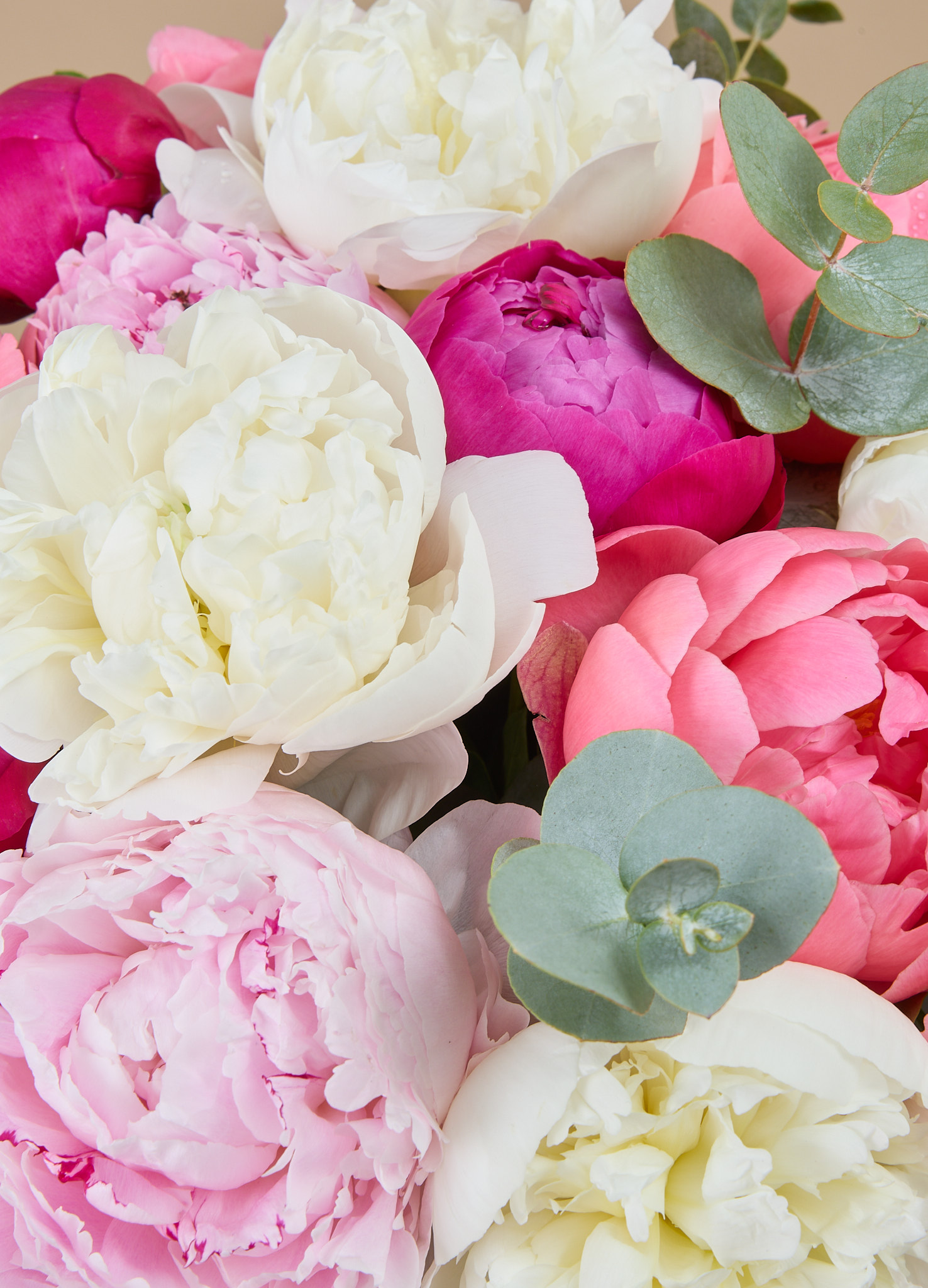Bouquet Biarritz