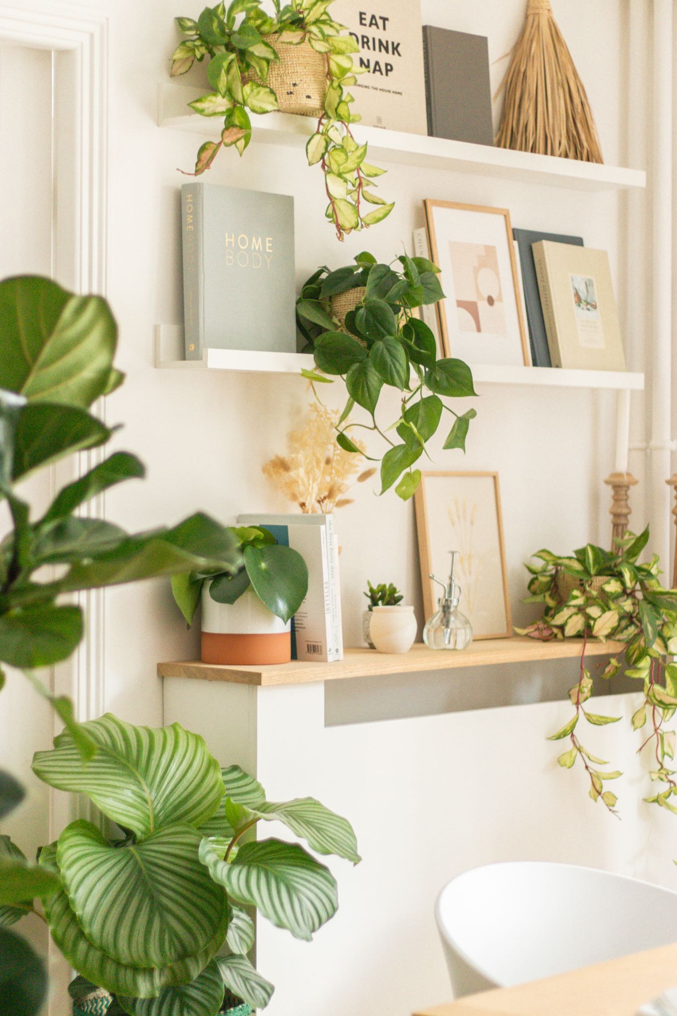 Intérieur inspirant, étagère et plantes