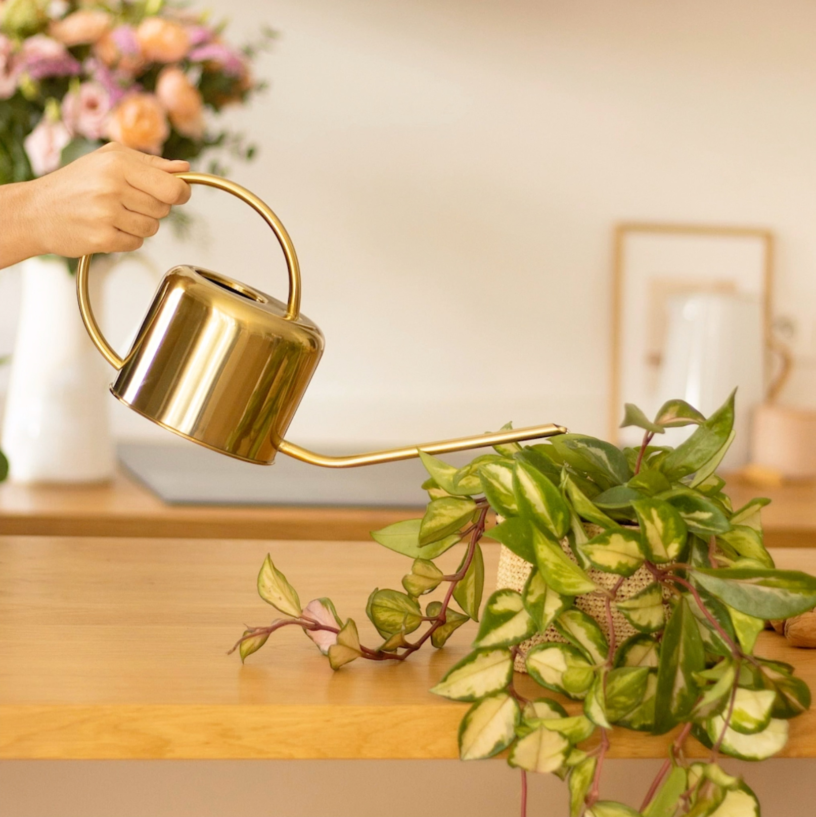 Comment bien arroser ses plantes vertes ?