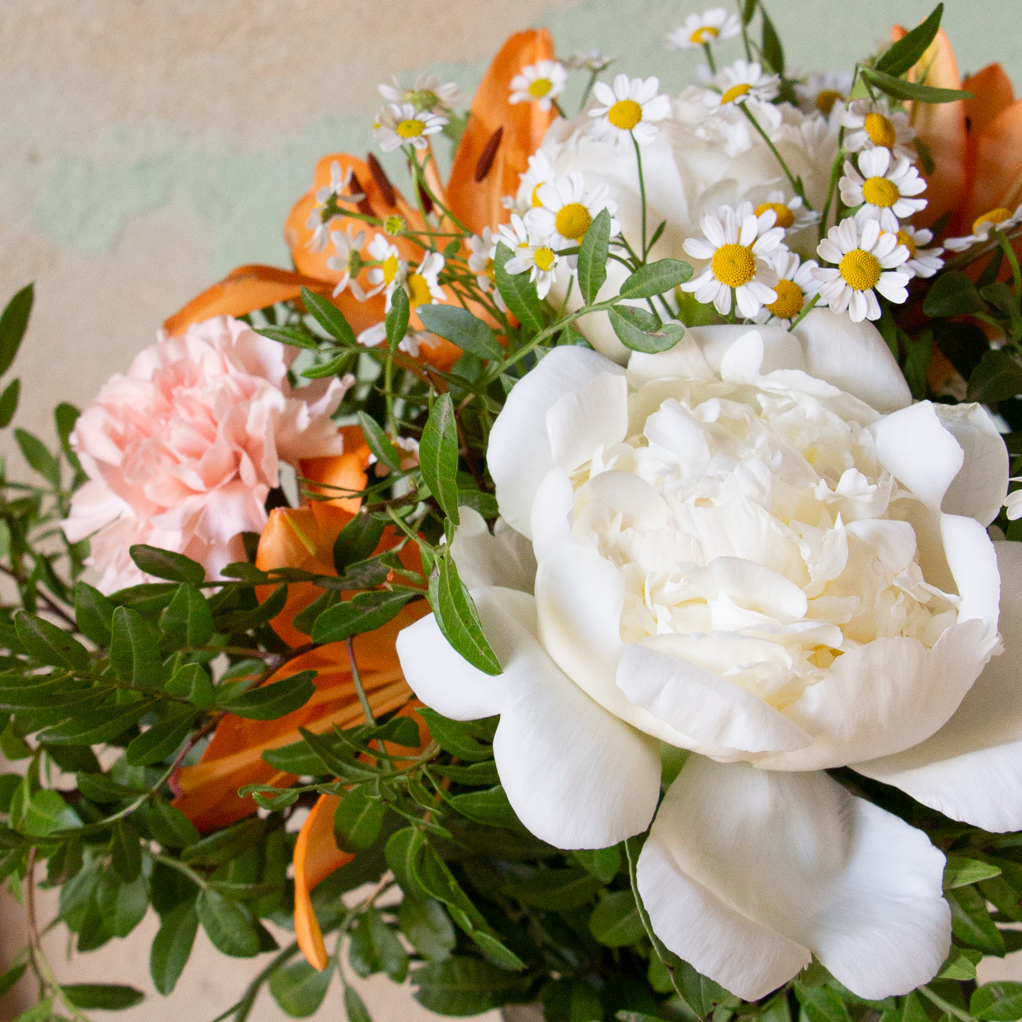 bouquet-de-pivoines-blanches