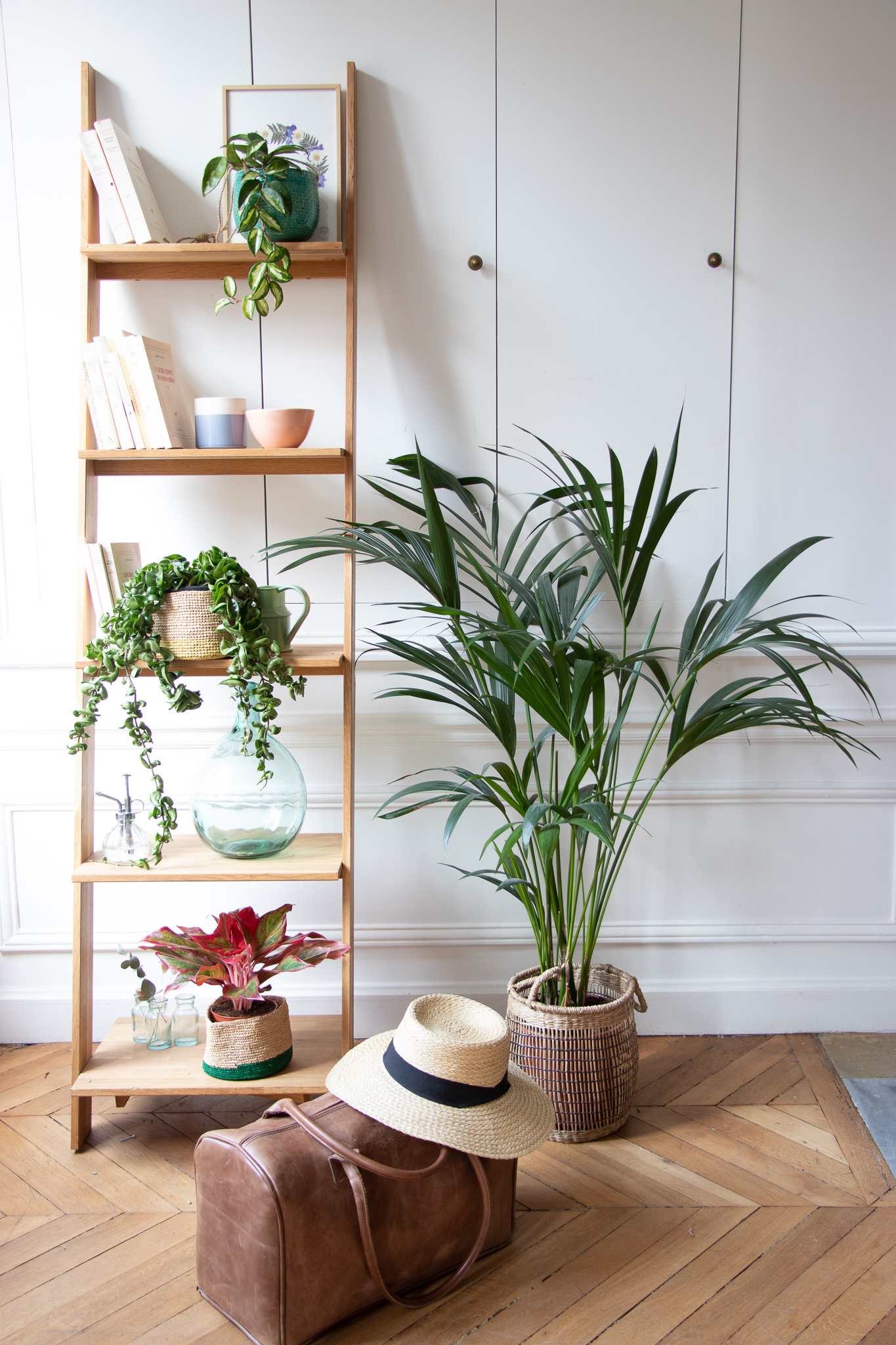 Que faire de ses plantes quand on part en vacances ? 