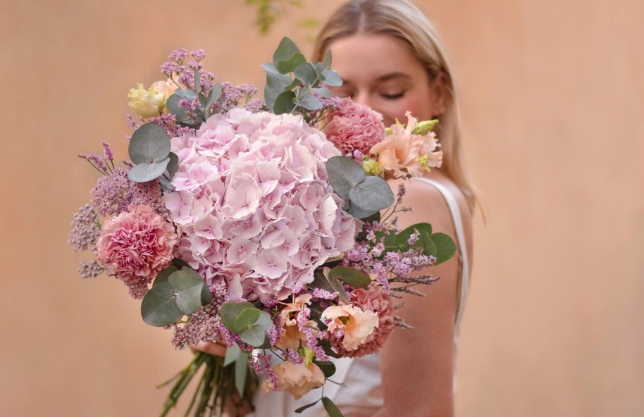 Schneller Und Zuverlassiger Pflanzen Und Blumenversand Bergamotte