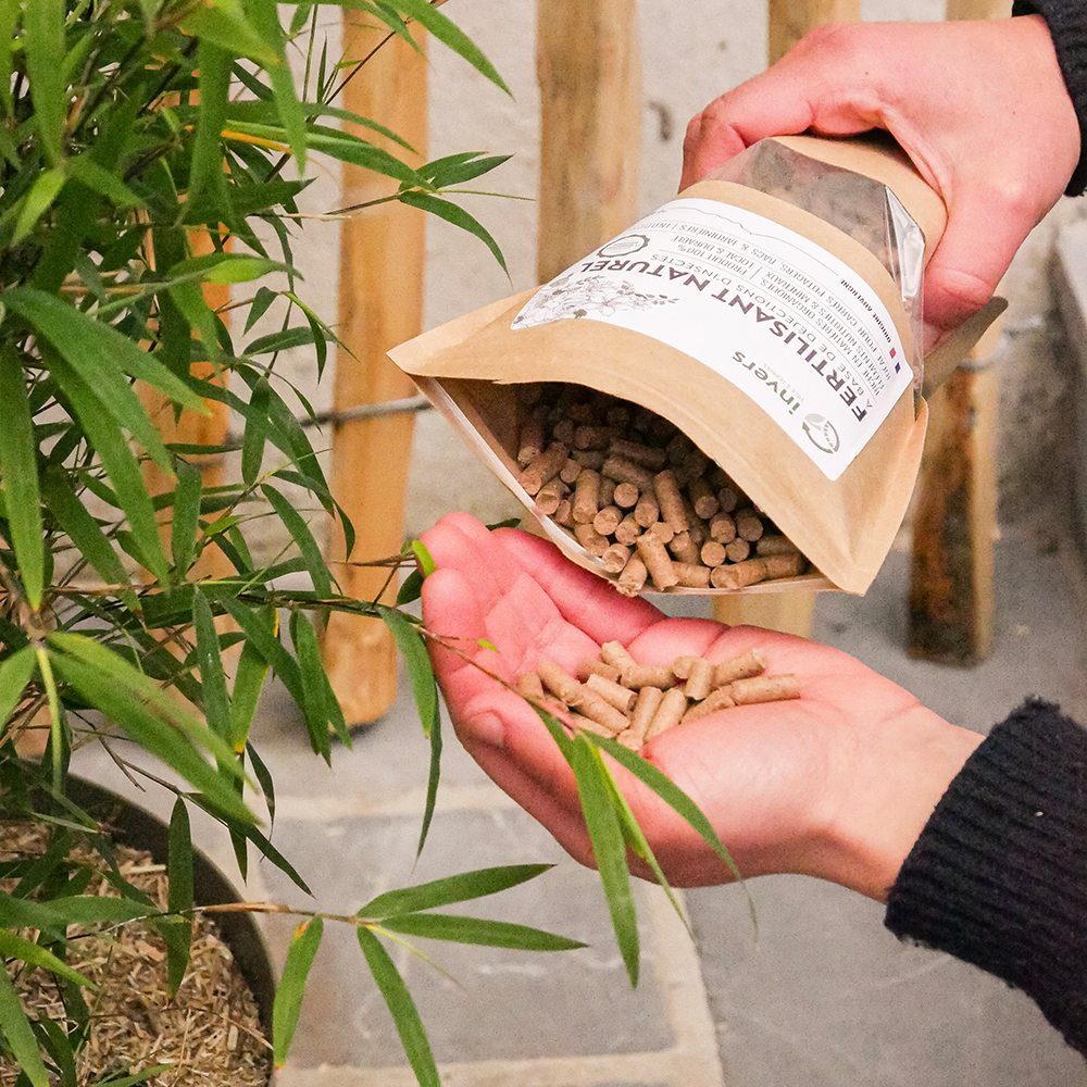 arroser-plante-exterieur