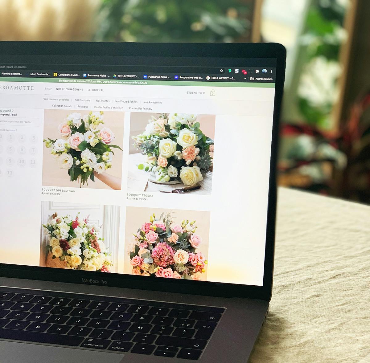 Nos Conseils Astuces Pour Entretenir Fleurs Et Fleurs Sechees Bergamotte