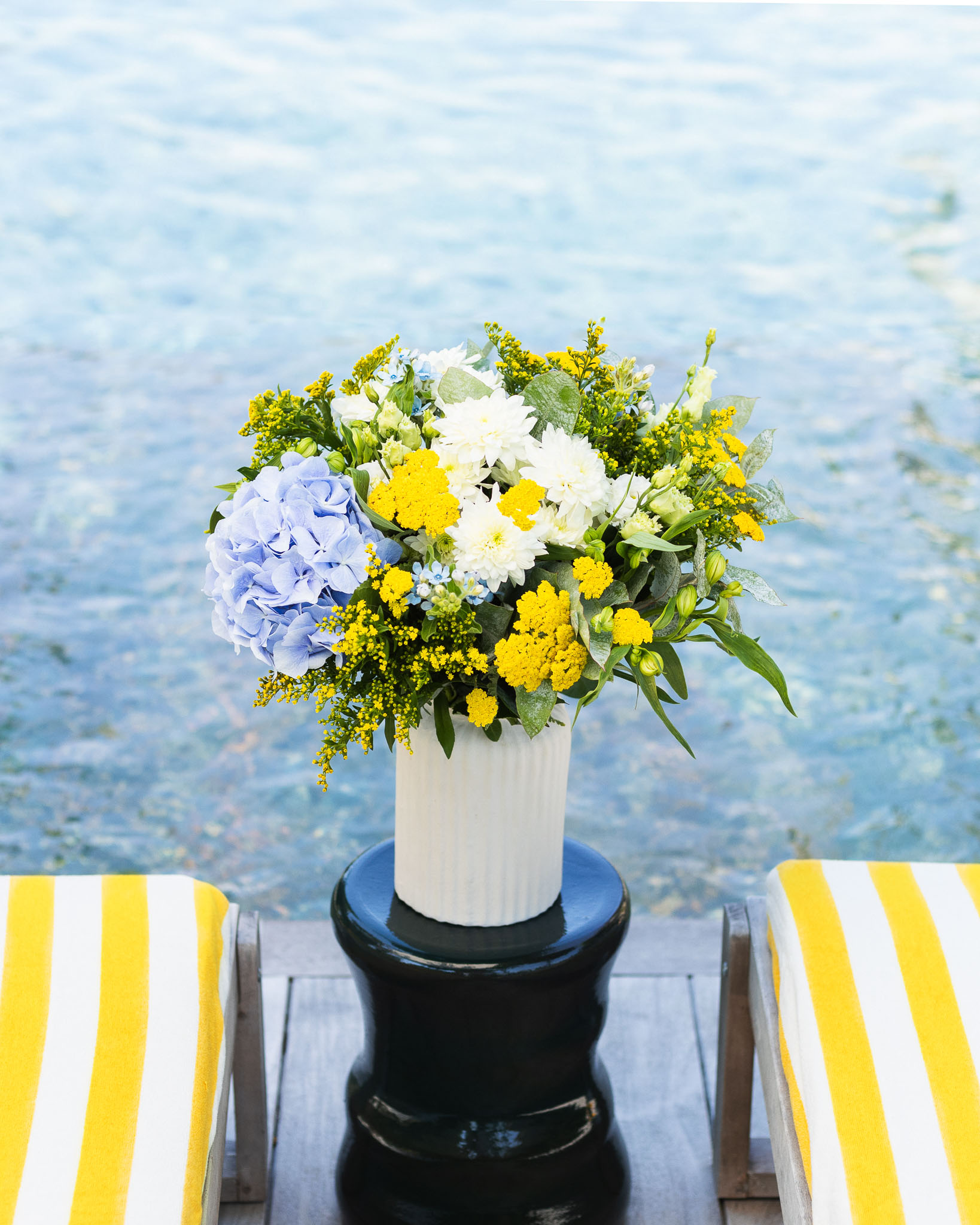 Les fleurs du mois de juin : tout savoir !