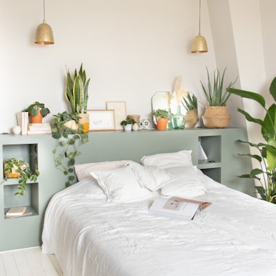 Plants for the bedroom