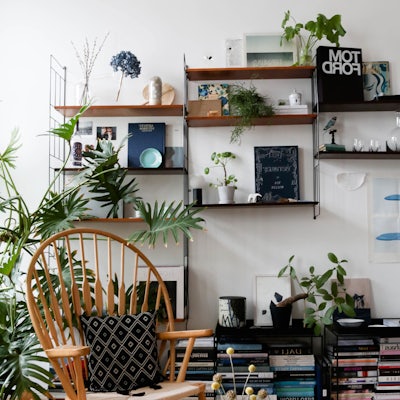 Room decorated with plants