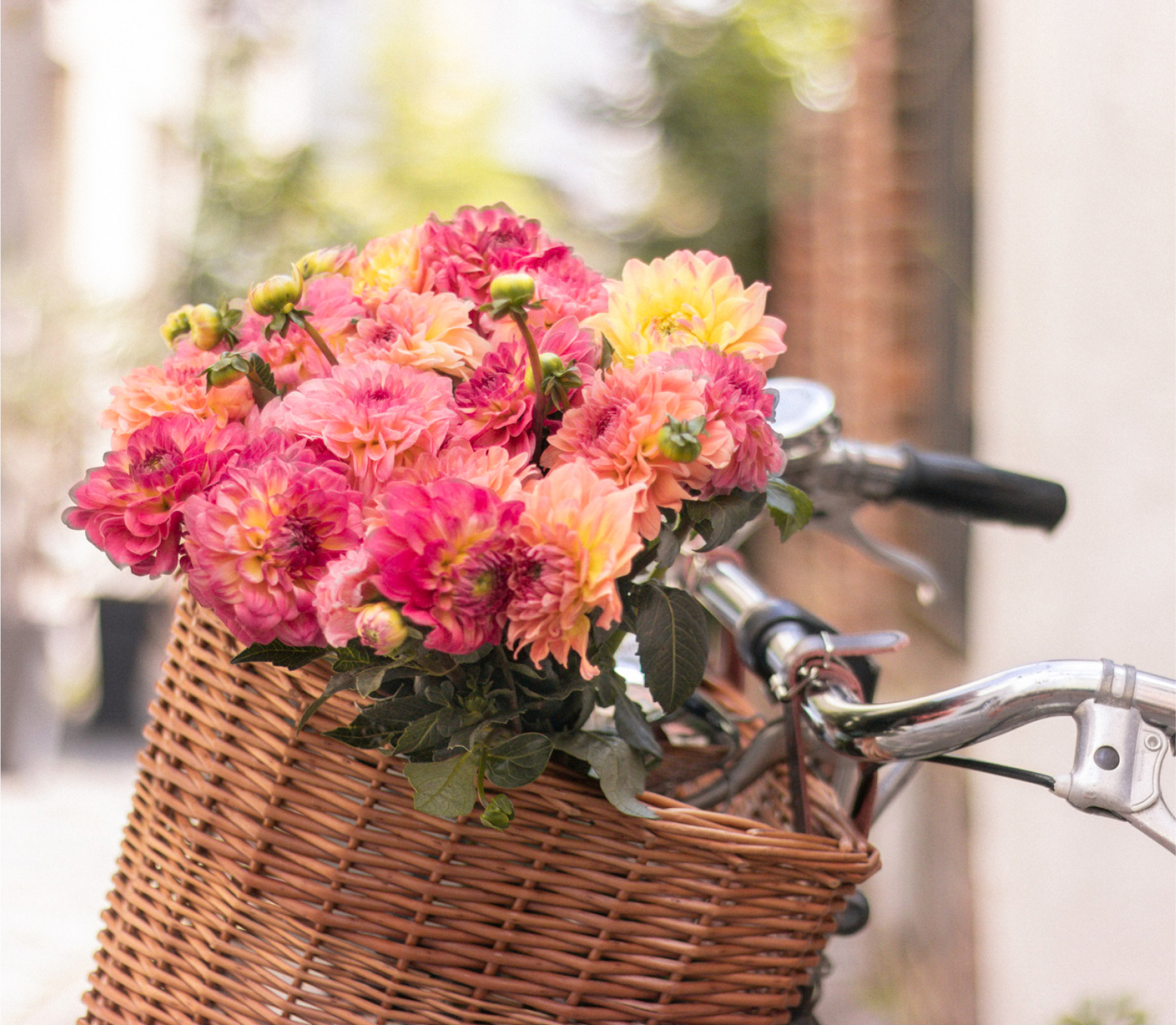 Delivery cities in France