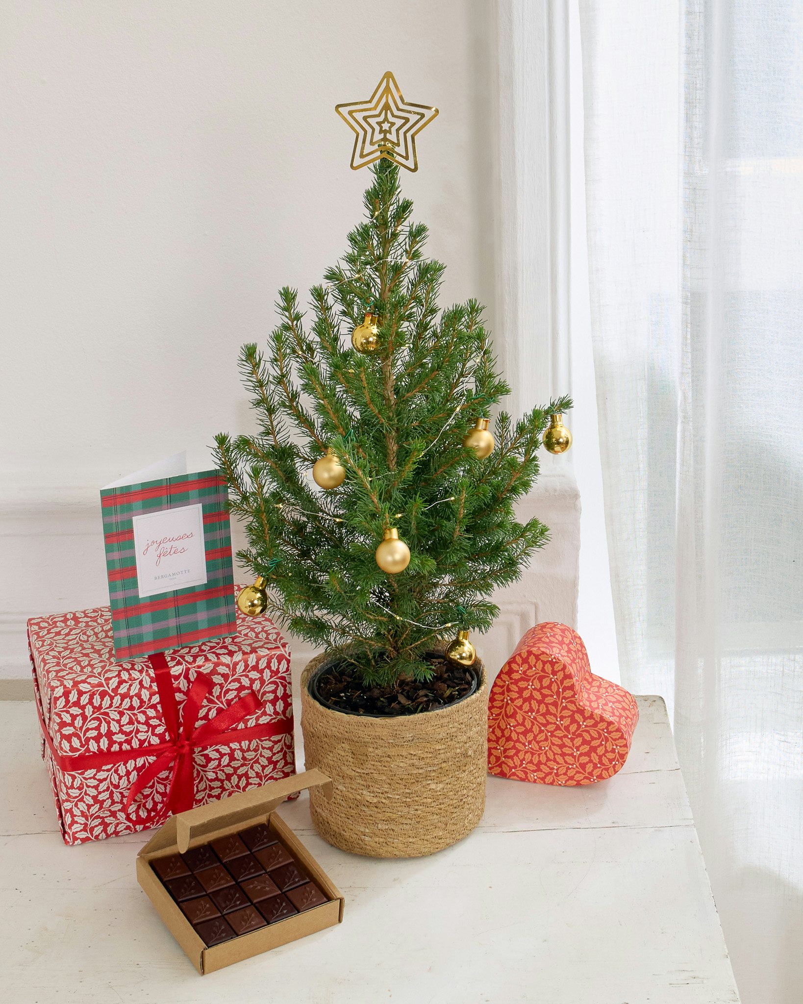 L'Offre de Noël Célestin contient : un mini sapin de Noël et sa décoration, un coffret de chocolats Alain Ducasse X Bergamotte et une carte illustrée