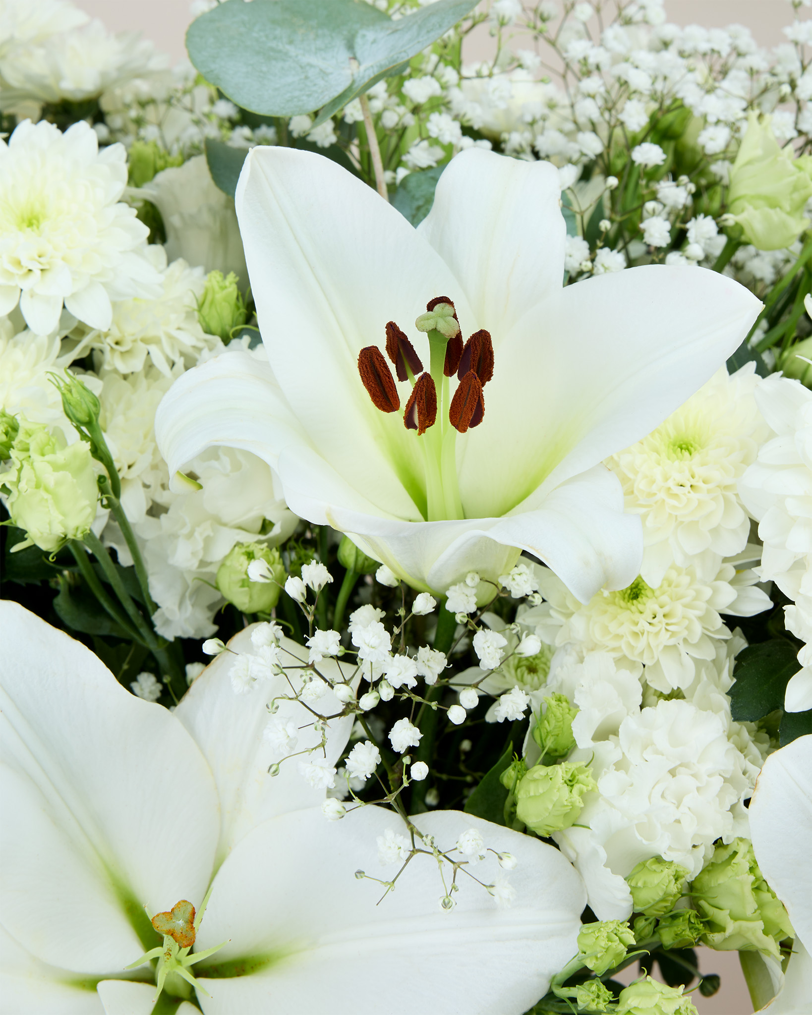 La signification de la fleur de Lys