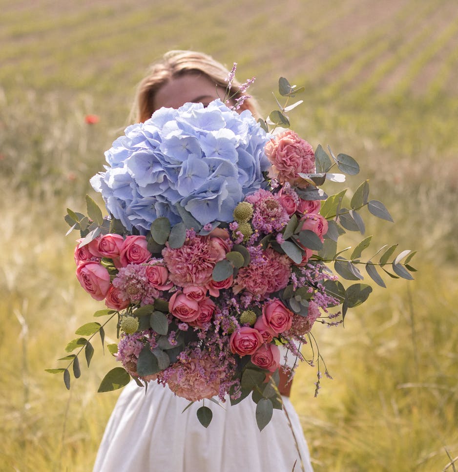 Bouquets d'été : Comment entretenir vos hortensias ?