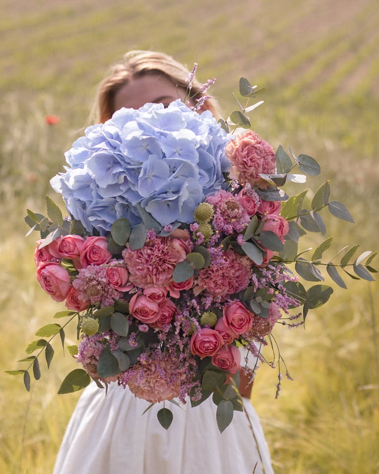 Bouquets d'été : Comment entretenir vos hortensias ?