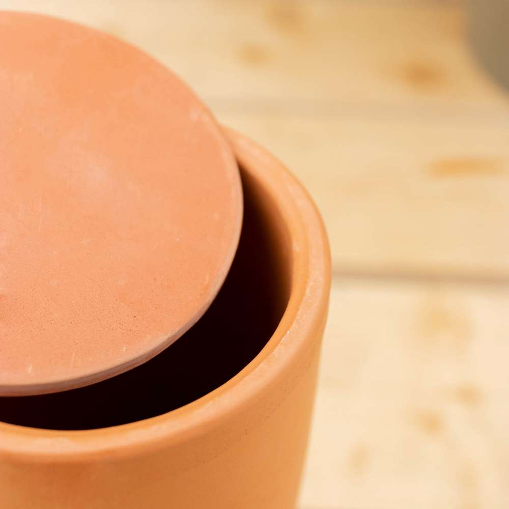 eau-plante-exterieur