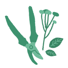 Image de l'agriculteur