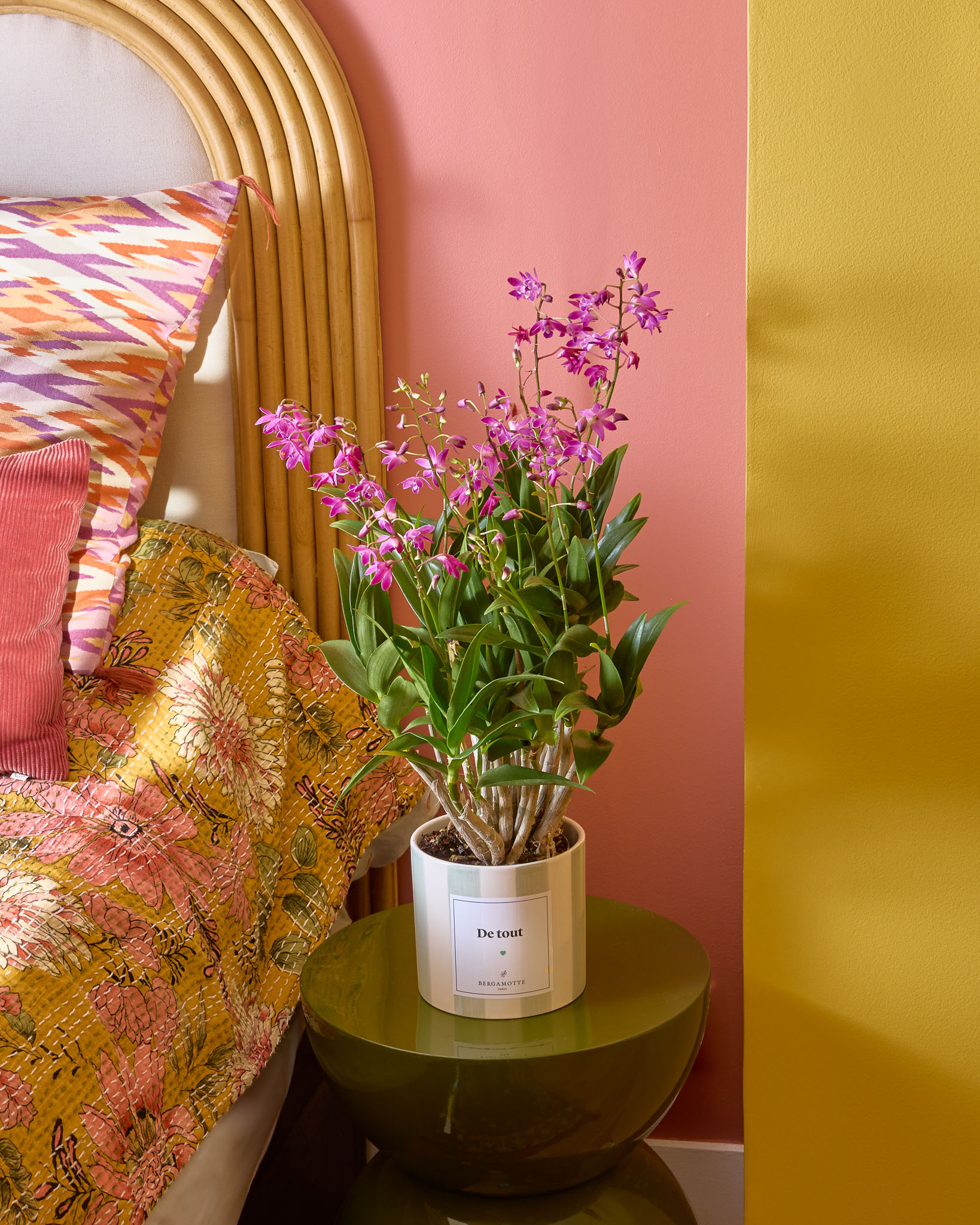 Orphée et son cache-pot rayé vert personnalisé - Orchidée