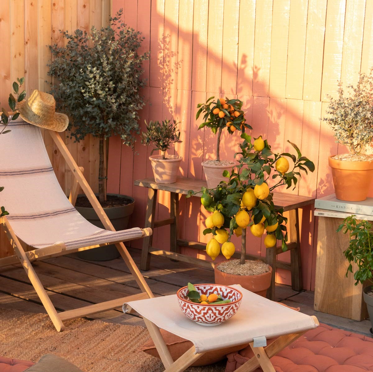 plantes-exterieurs-pots