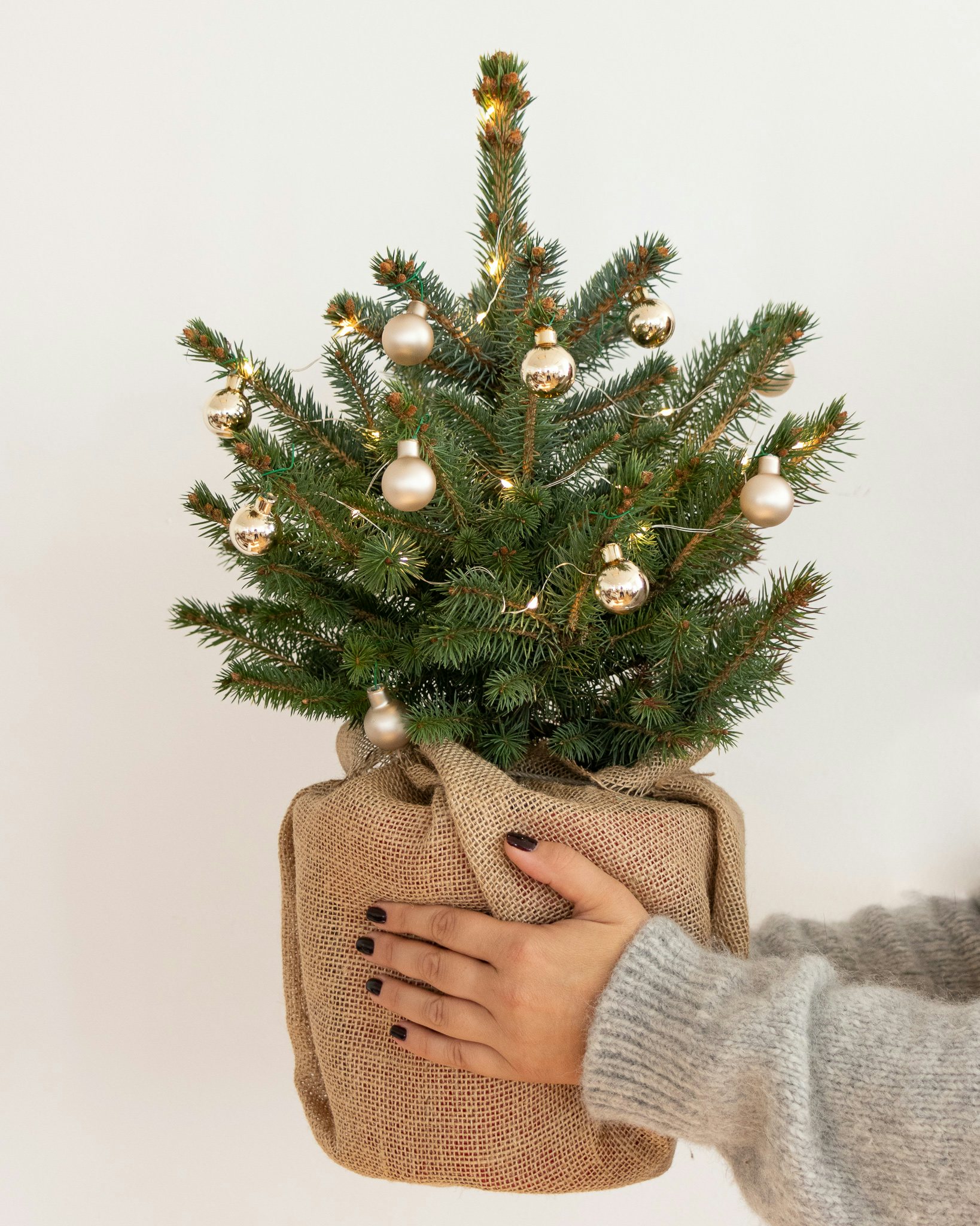 Edgar - Mini-Weihnachtsbaum mit Deko