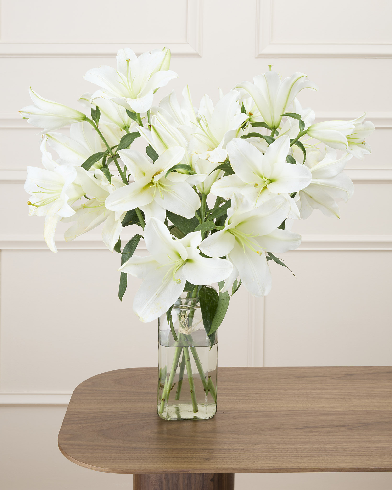 Brassée Casablanca S