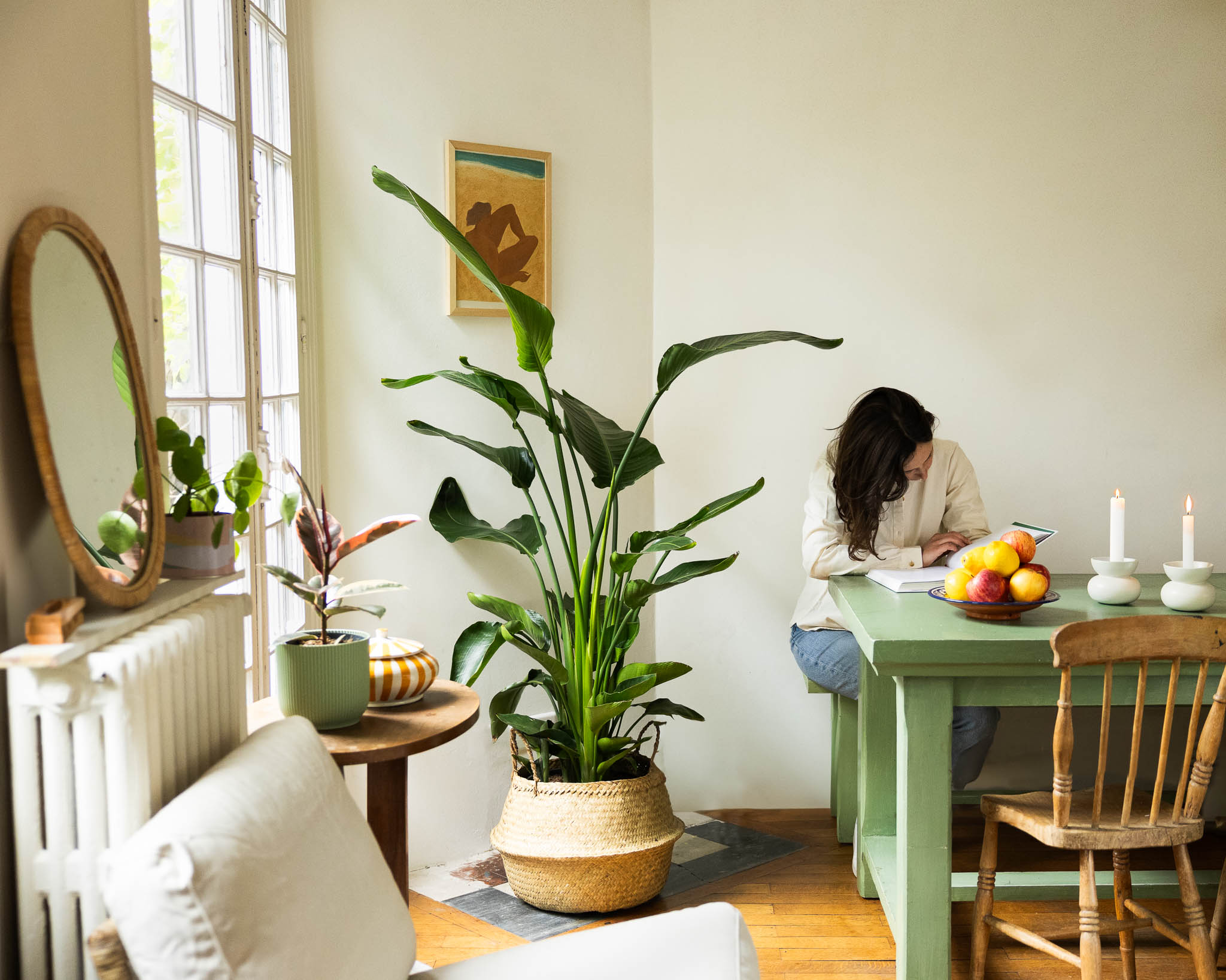 plantes interieur