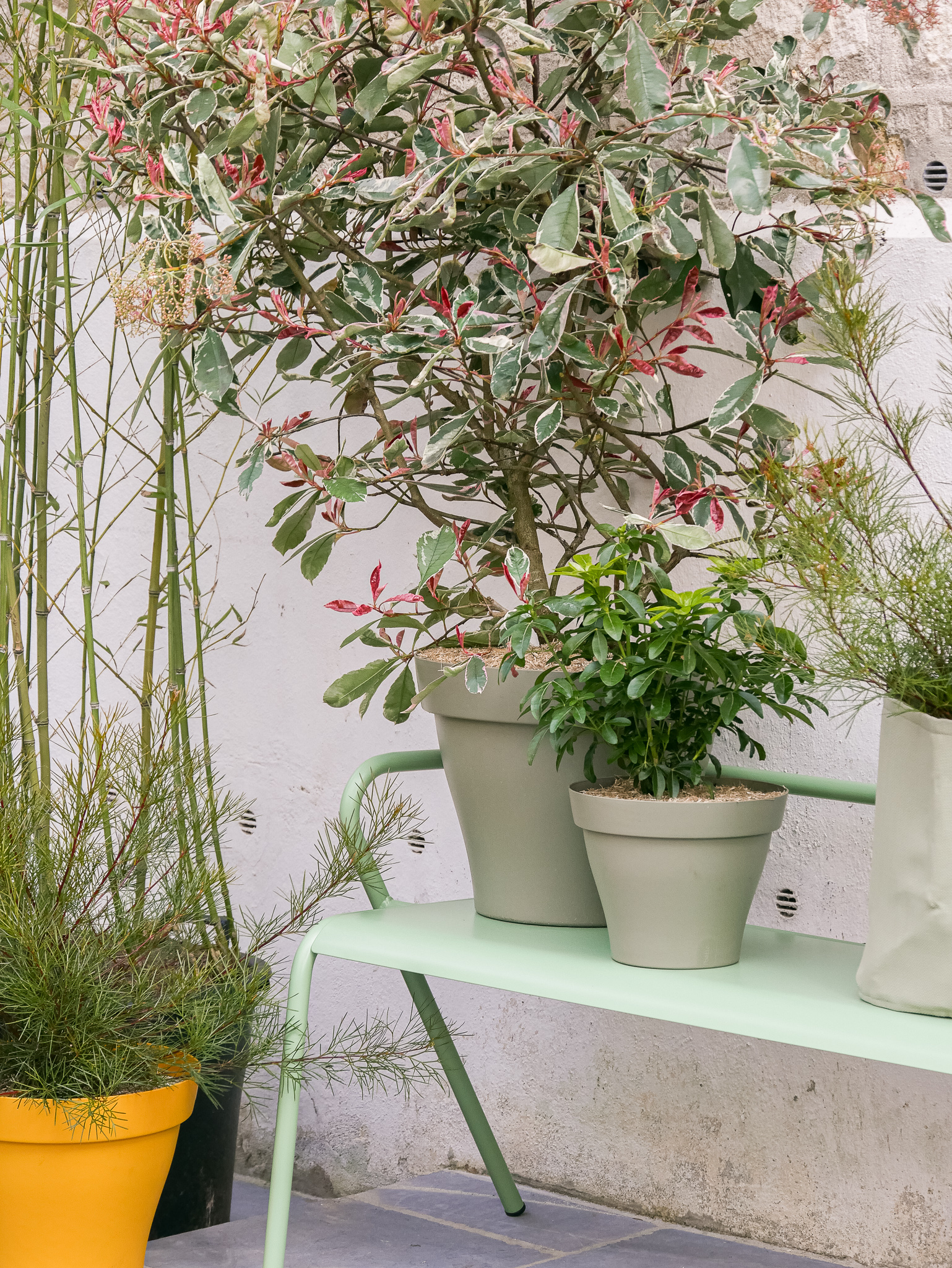 Comment conserver ses plantes d’extérieur en pot pendant les vacances ?