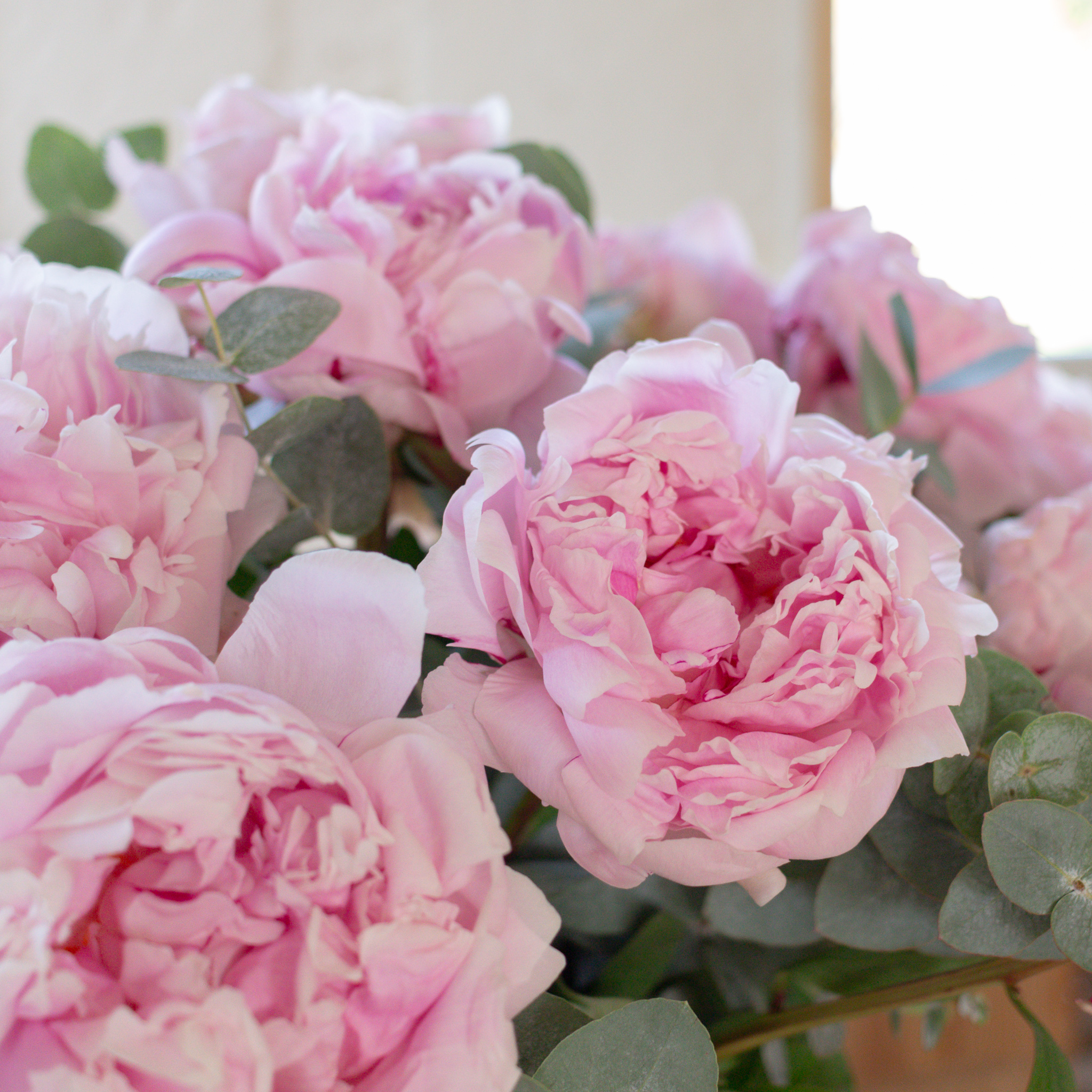 Nos plus beaux bouquets de pivoines