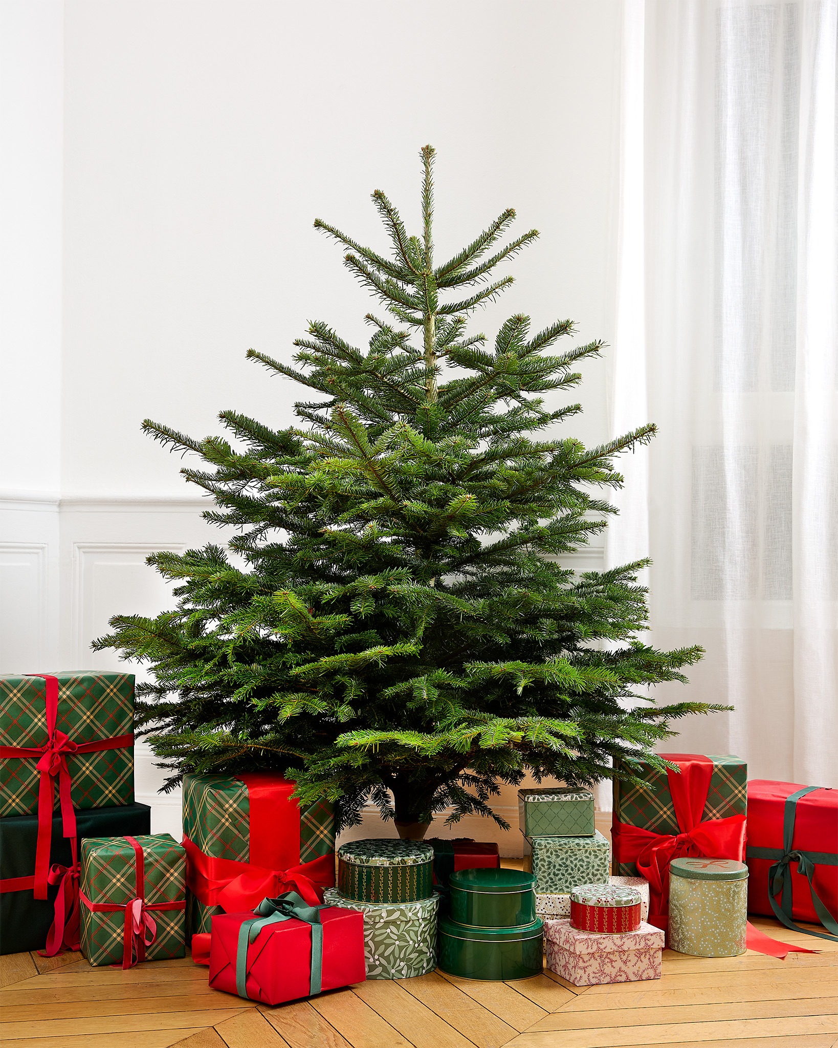 Isidore -  Sapin de Noël Nordmann