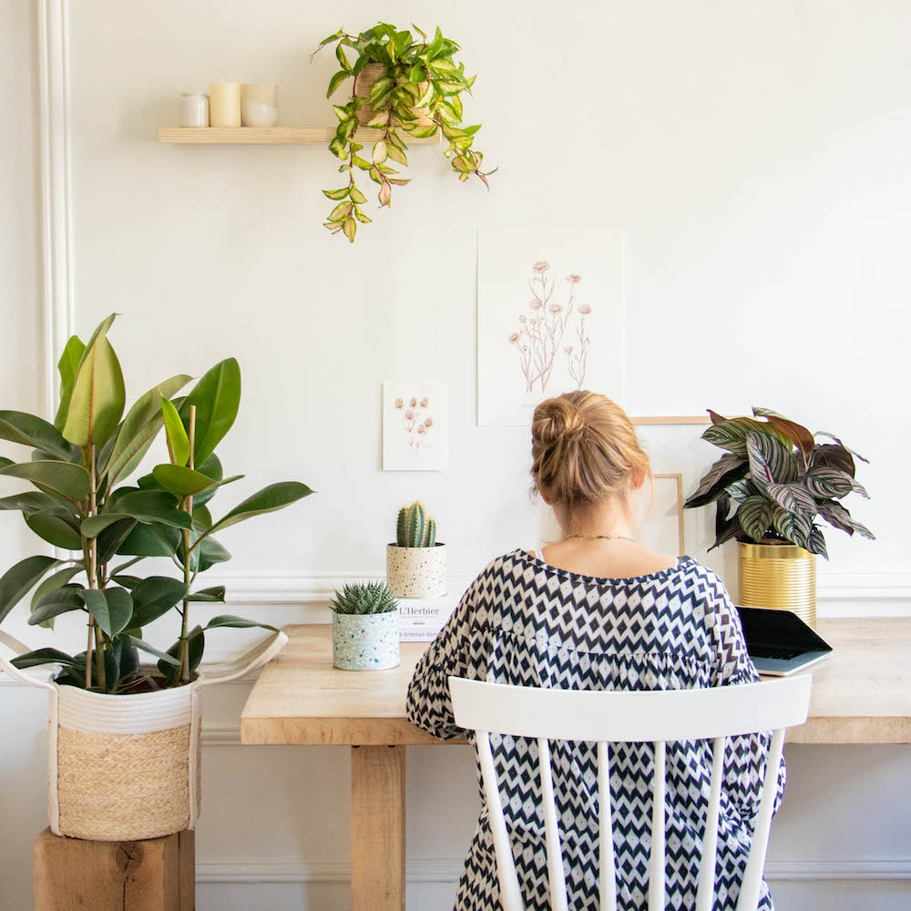 Quelles plantes pour   mon bureau ? 3 variétés idéales